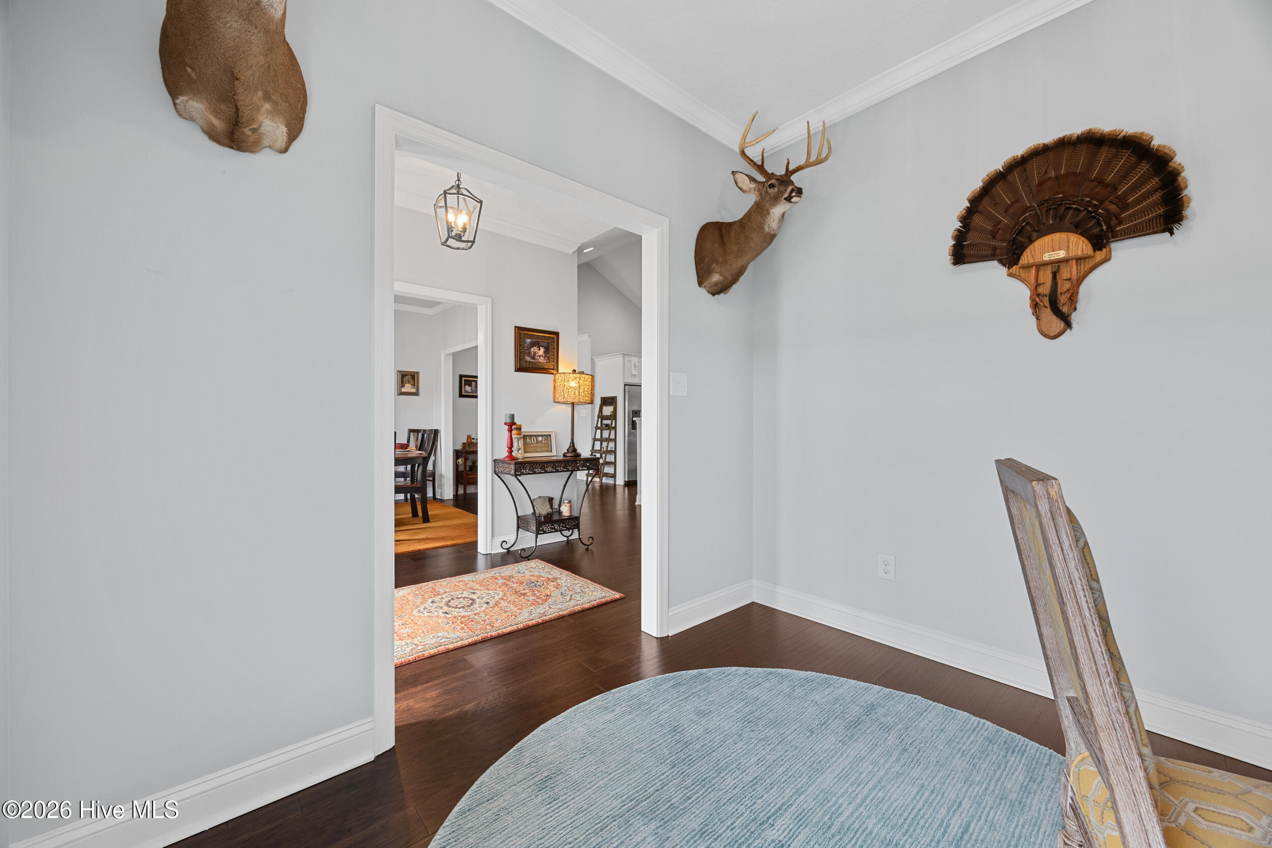 100556913 | Photo 11