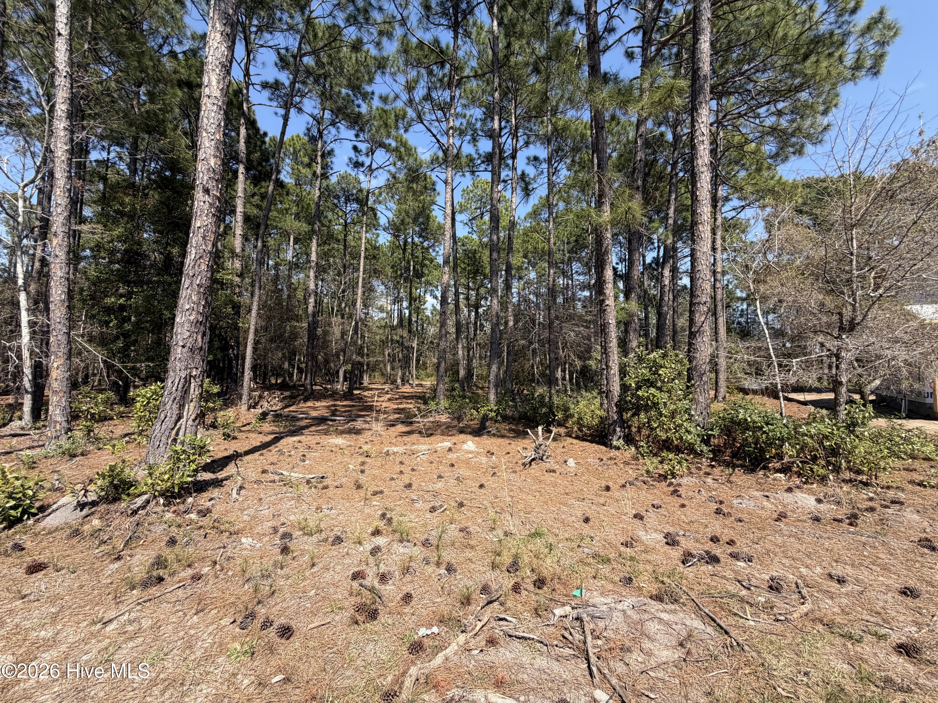 6786 Holton Place, Ocean Isle Beach, NC, 28469