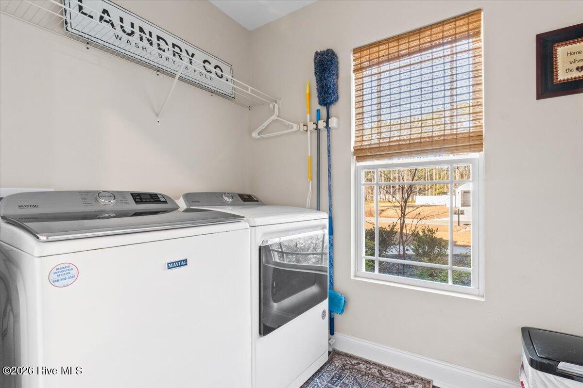 100548136 | Photo 31