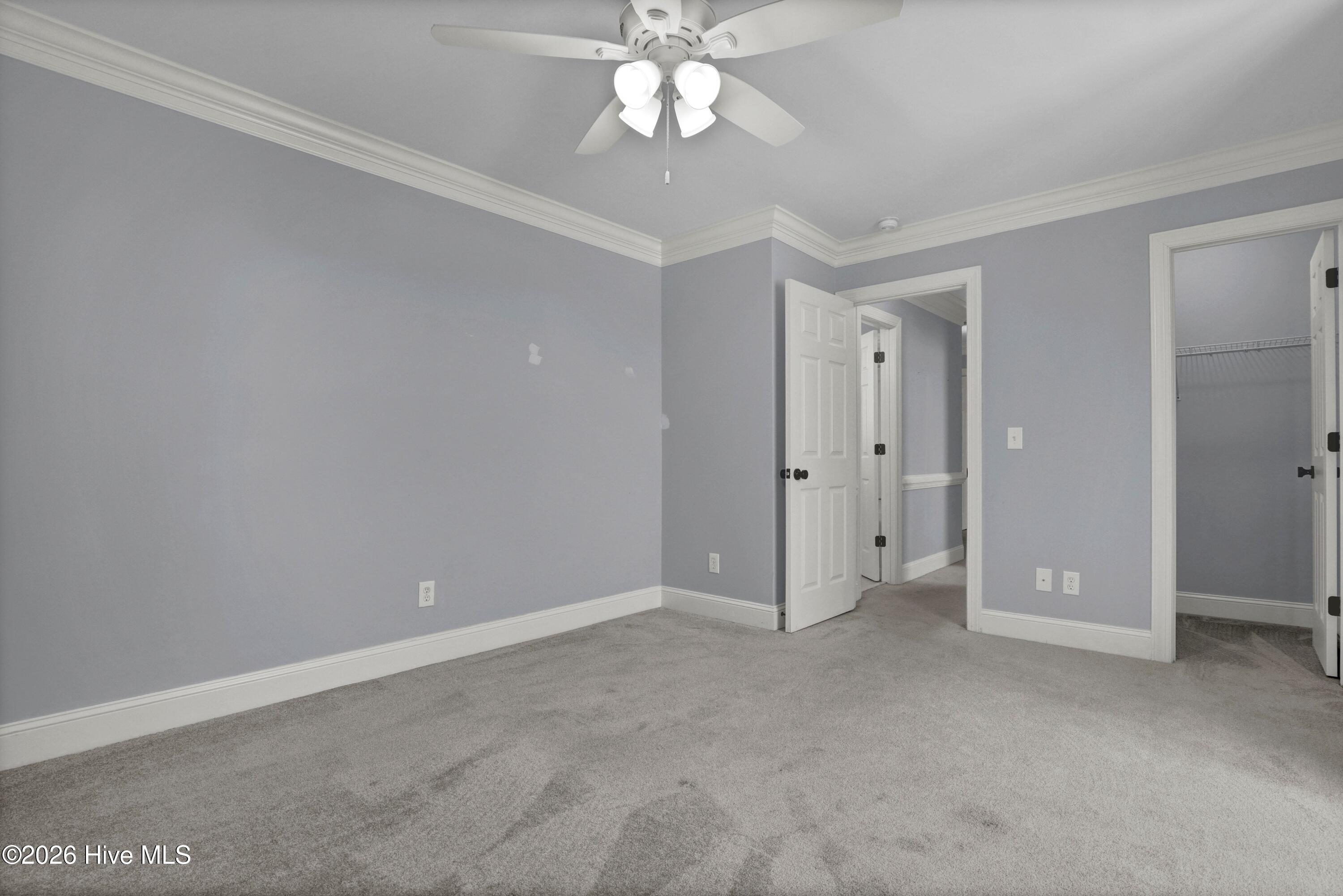 100489094 | Photo 33