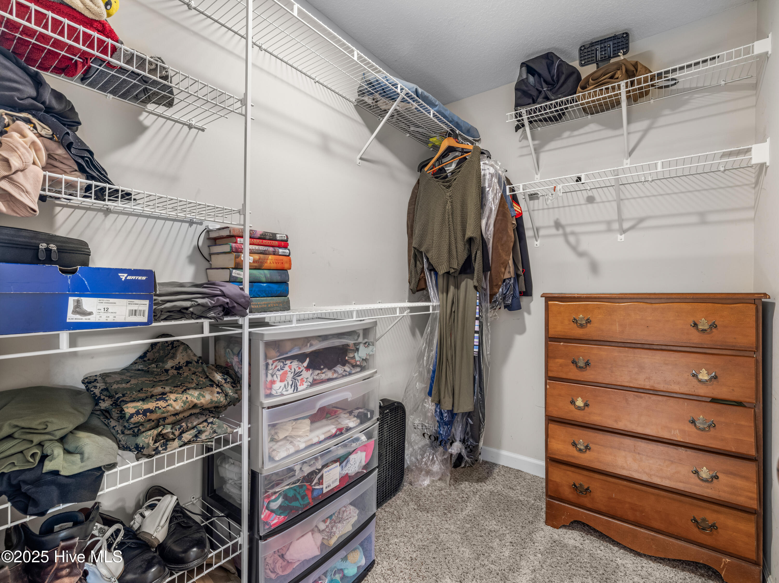 100538122 | Photo 33