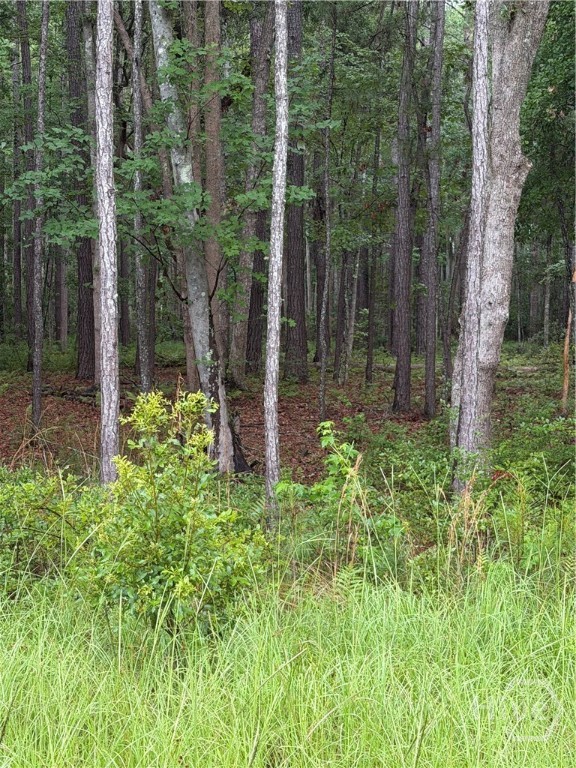 1st image of 157 Wood Haven Ln, Pooler, GA 31322 | MLS# SA358802
