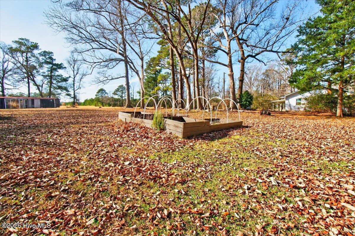 100551454 | Photo 32