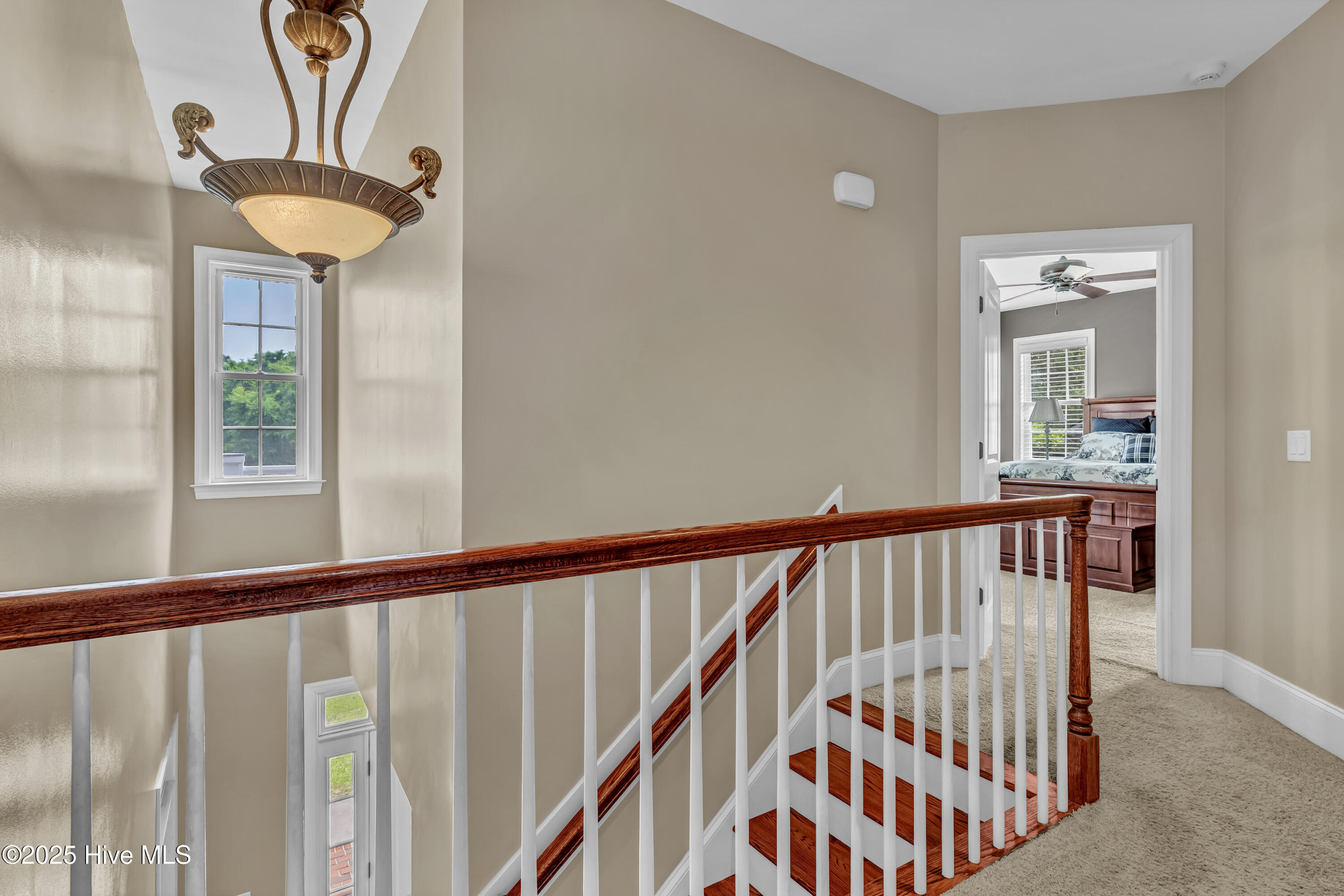 100504337 | Photo 36