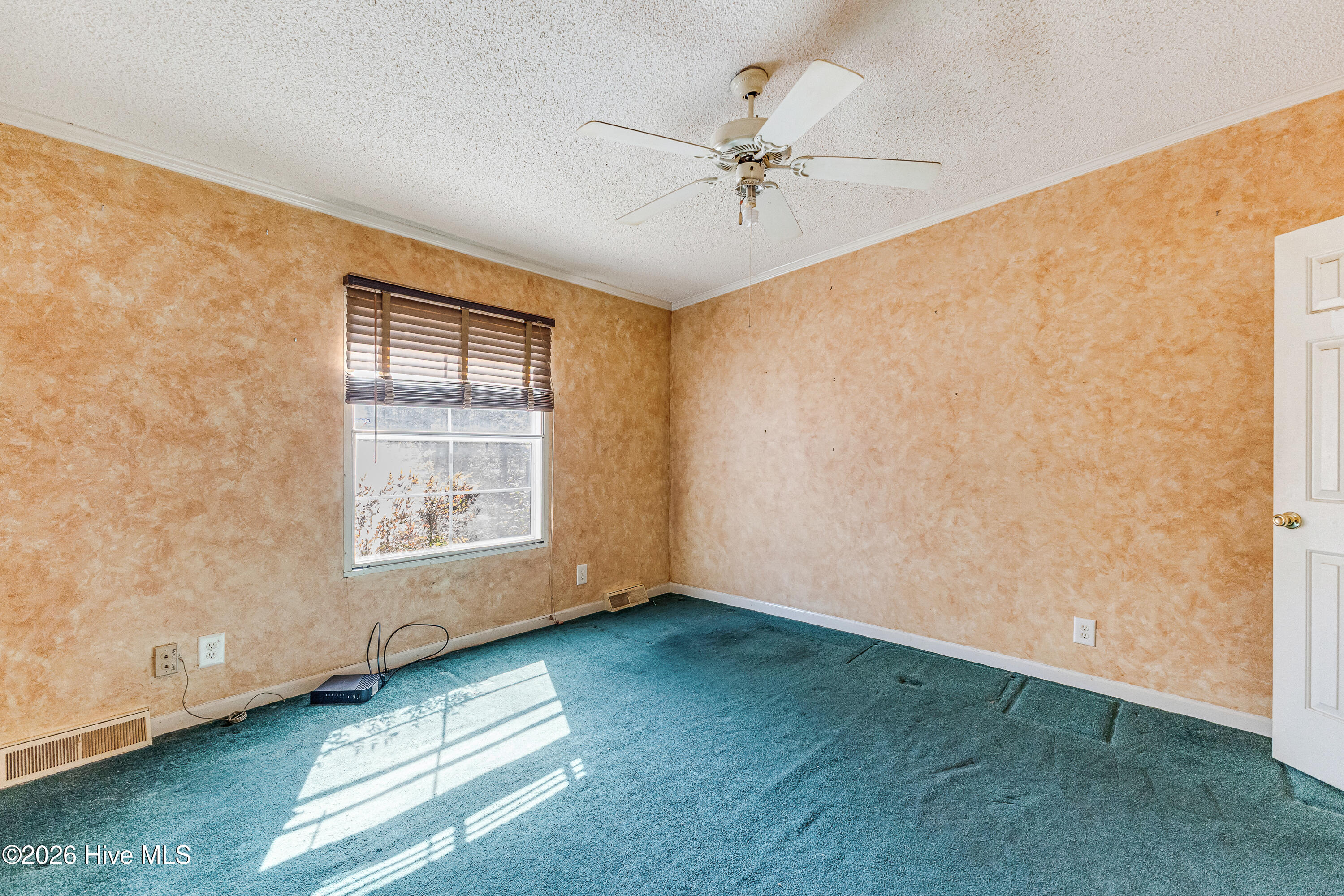 100559404 | Photo 22