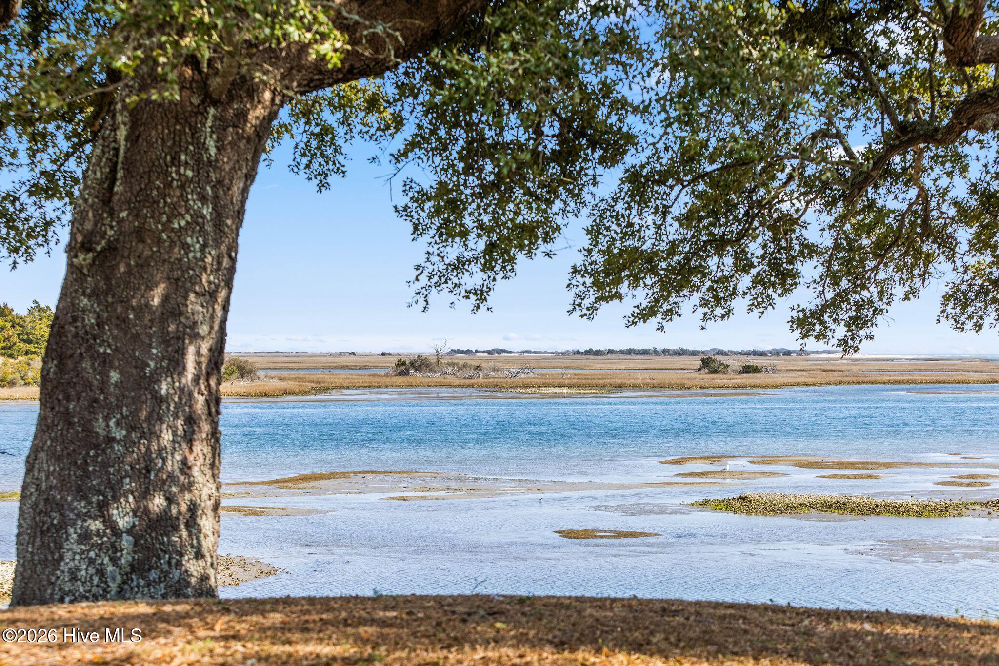 100559816 | Photo 23