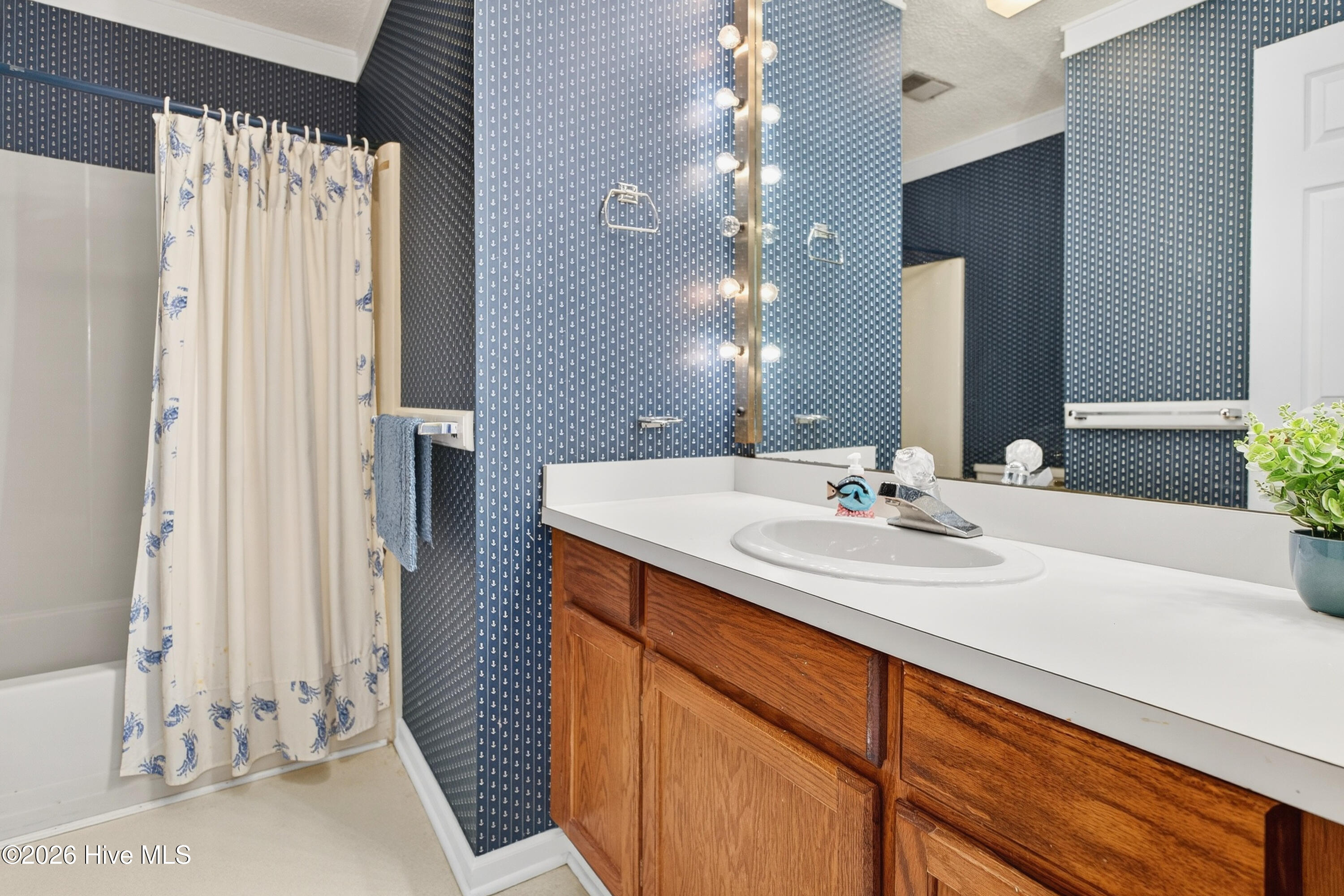 100558876 | Photo 28