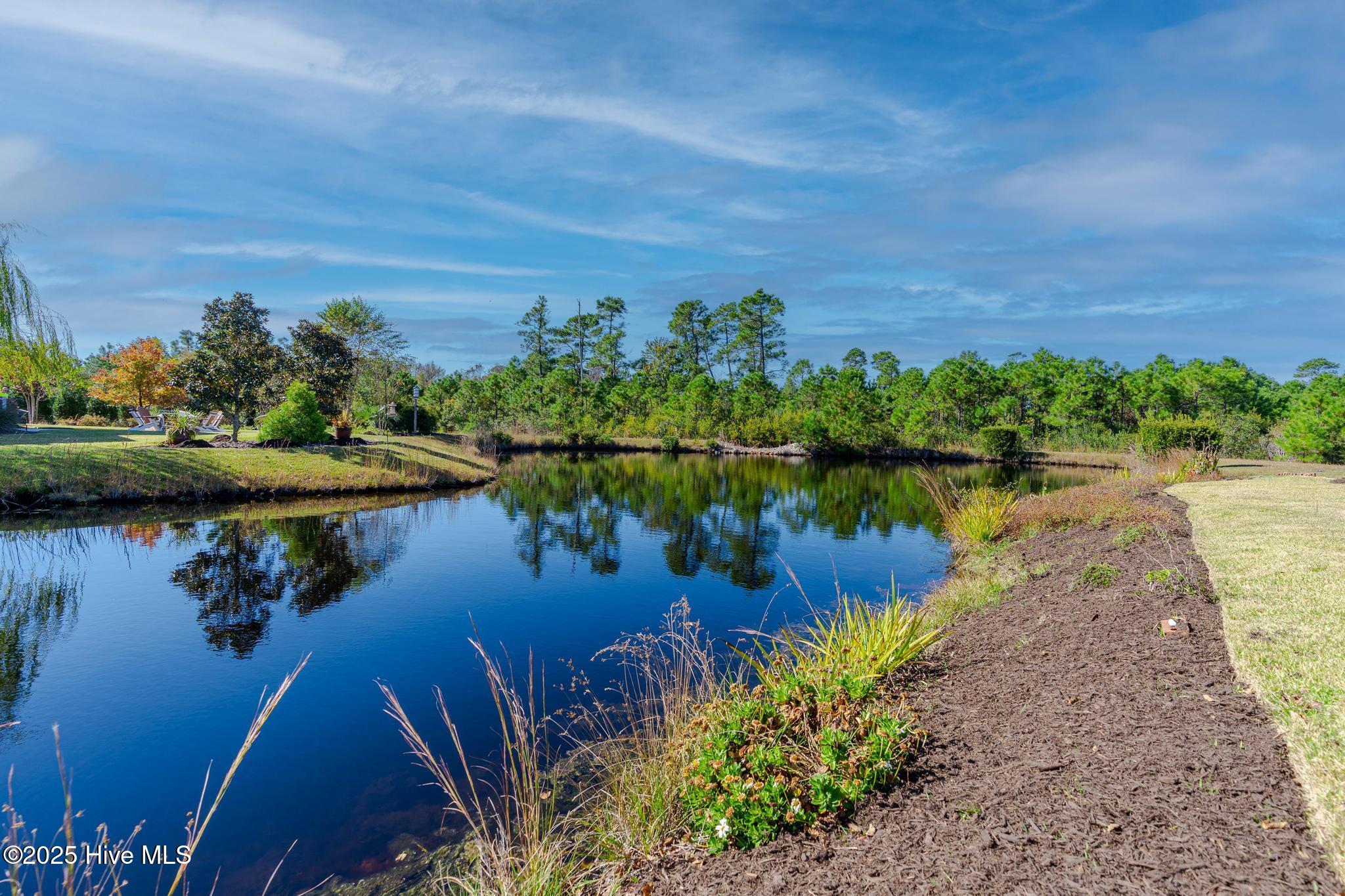 100542823 | Photo 10