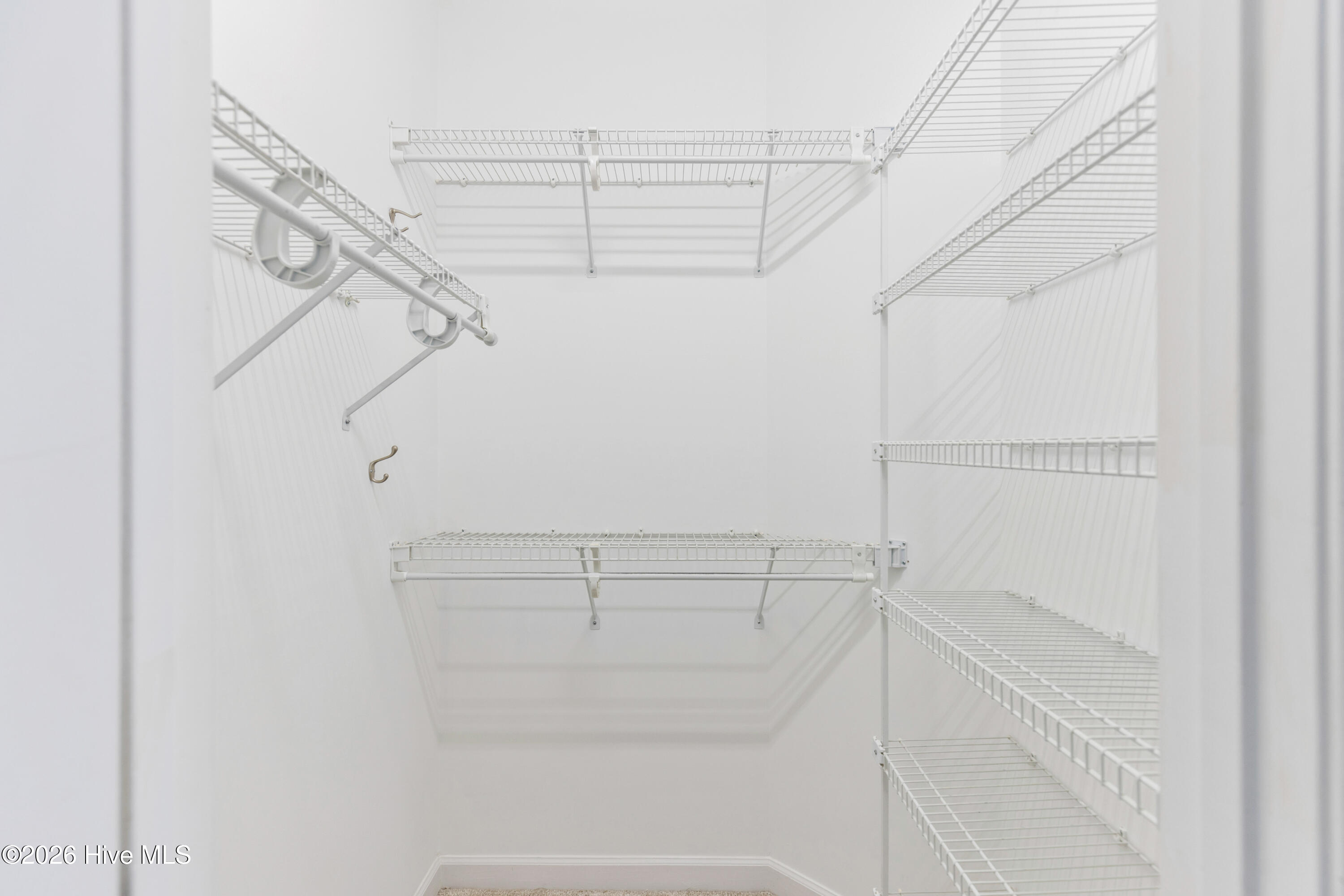 100560916 | Photo 40