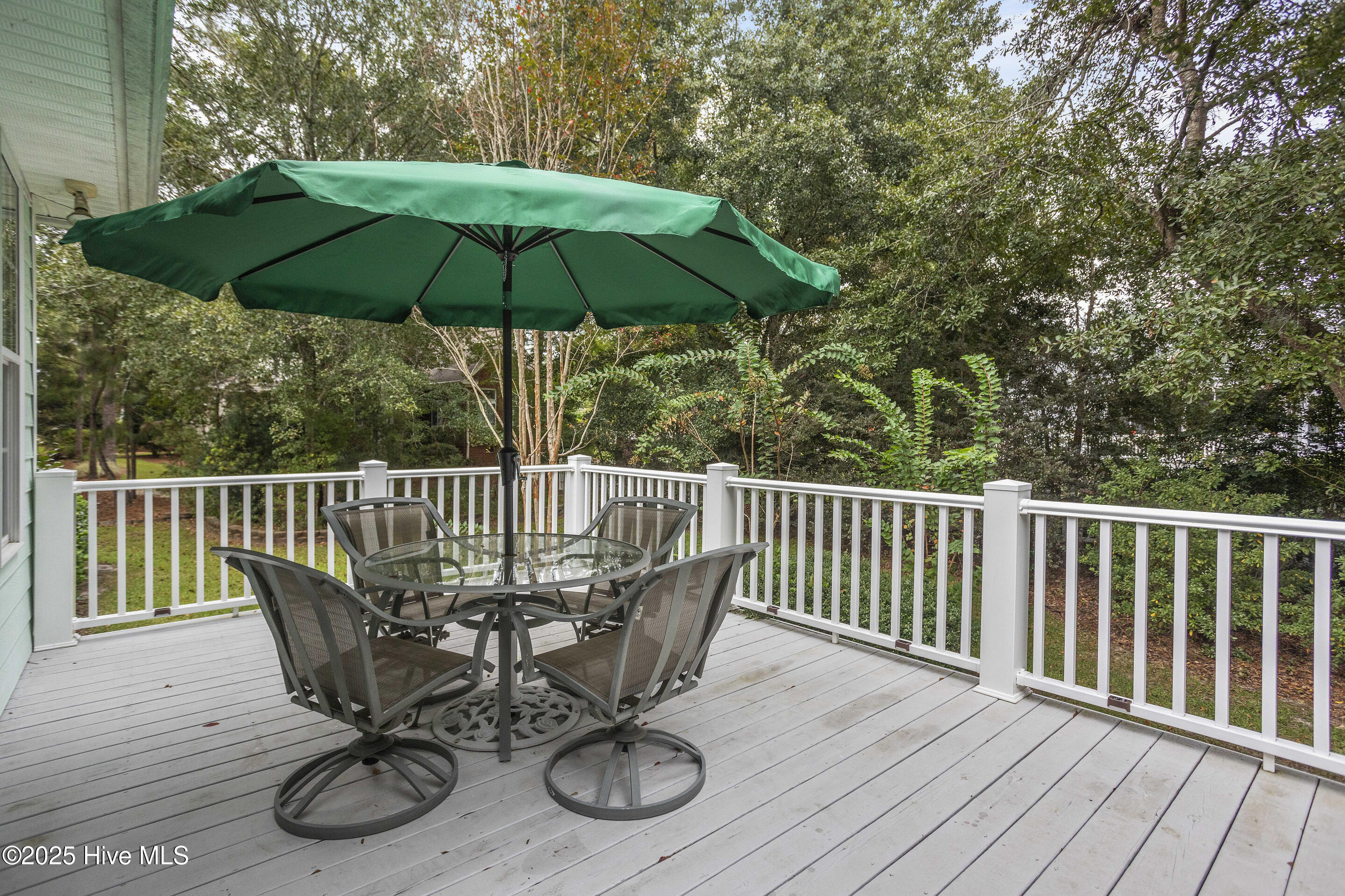 100528316 | Photo 51