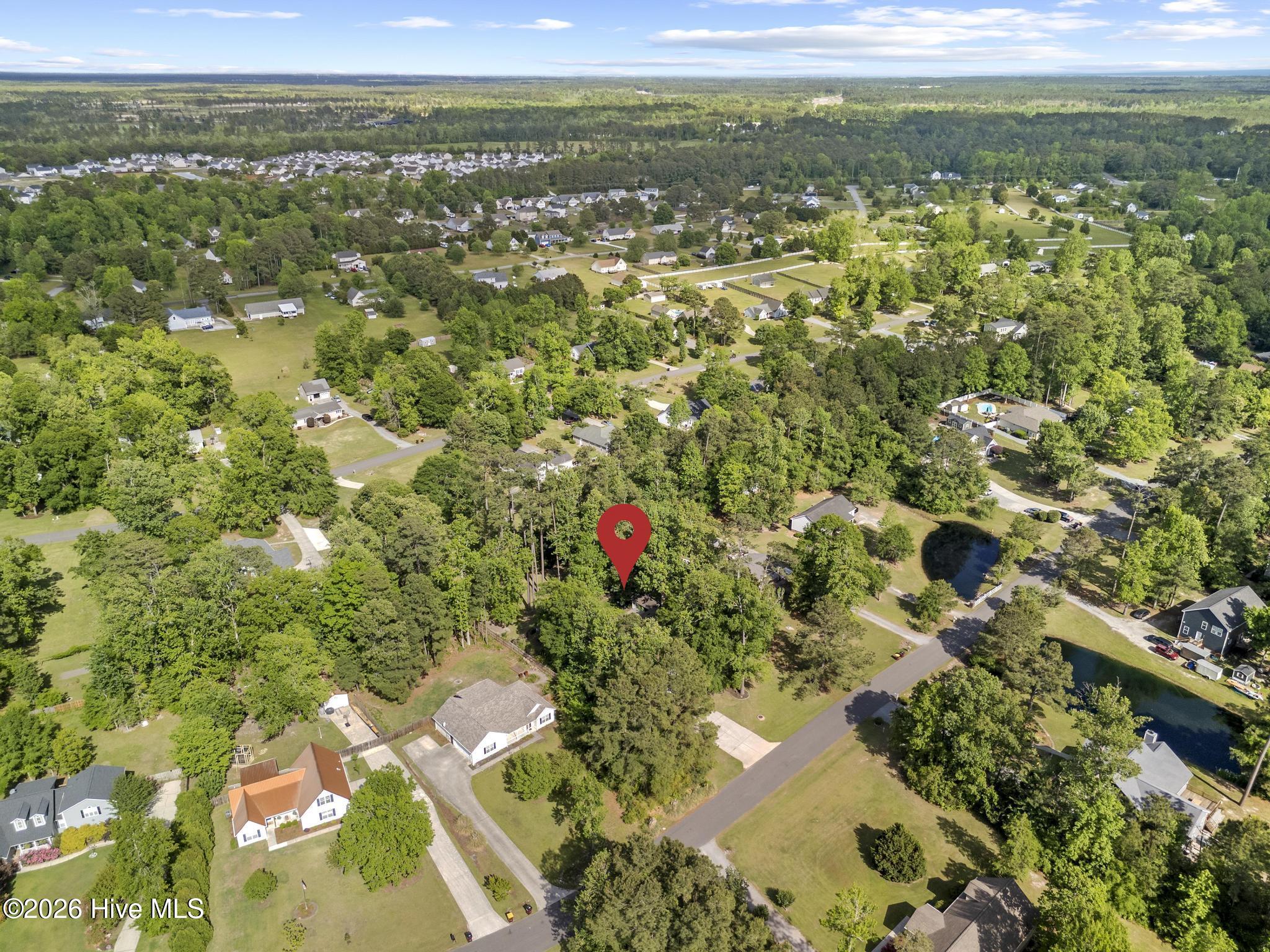 100569223 | Photo 70