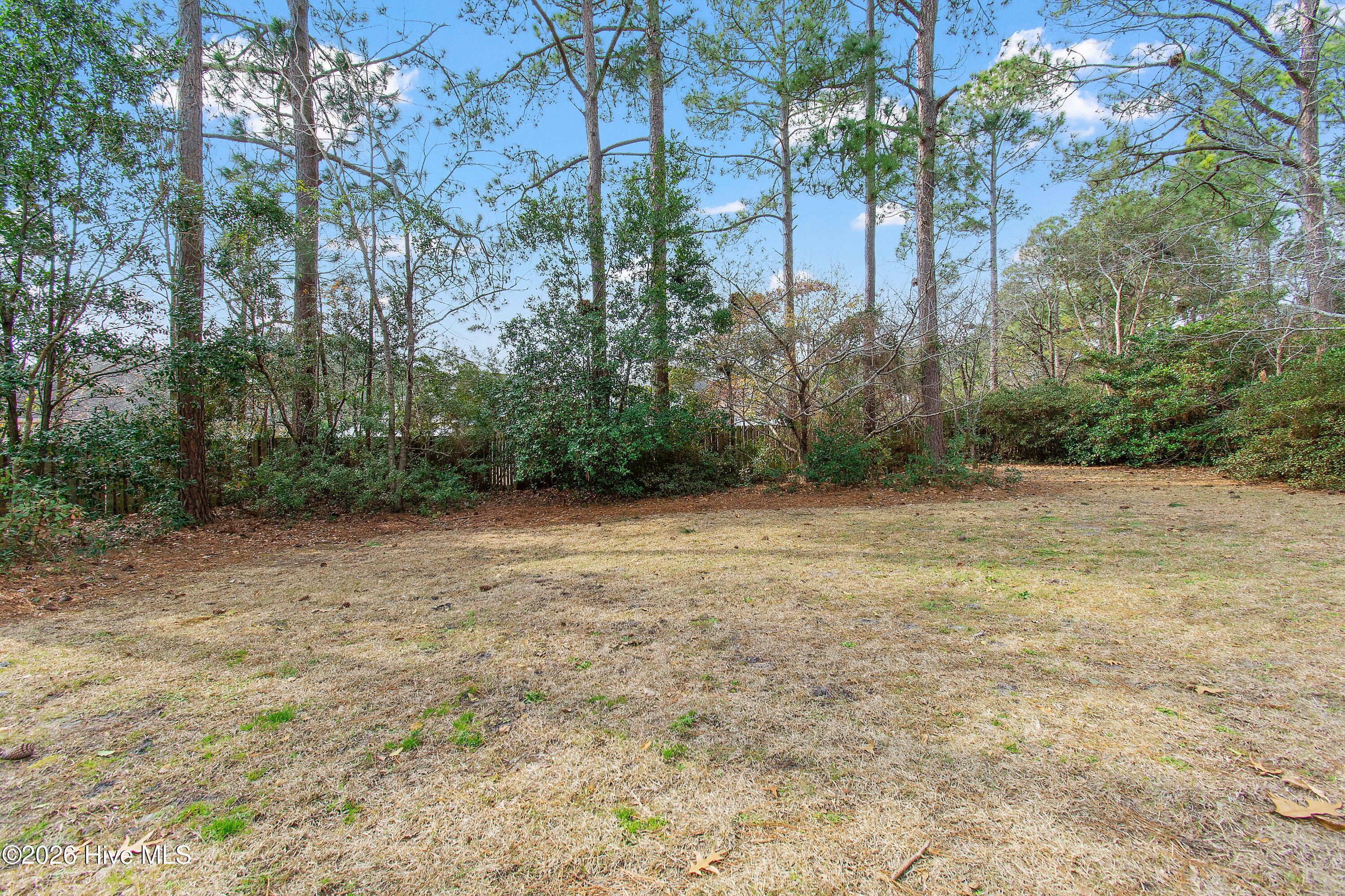 100557511 | Photo 29