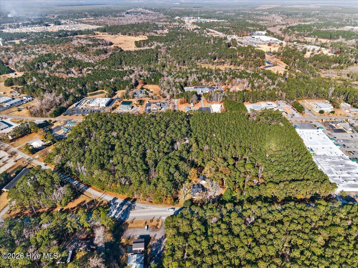 100547128 | Photo 13