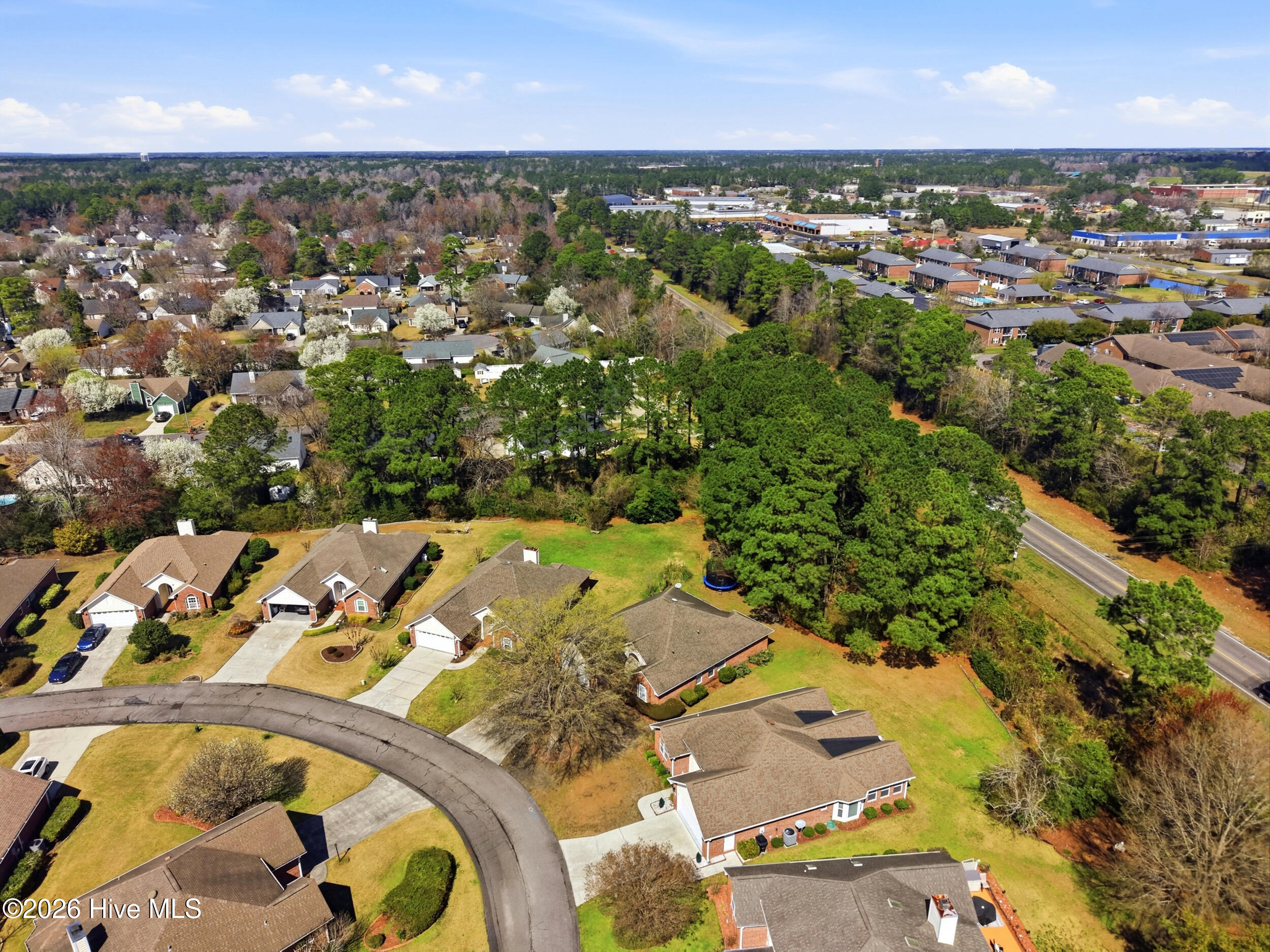 100559027 | Photo 34