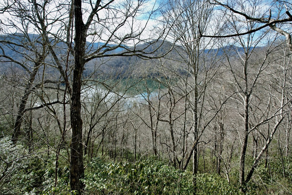 Homes for sale in Nantahala, NC | Lot 14 Holly Ridge Rd, Nantahala, NC 28781 | MLS# 98500220
