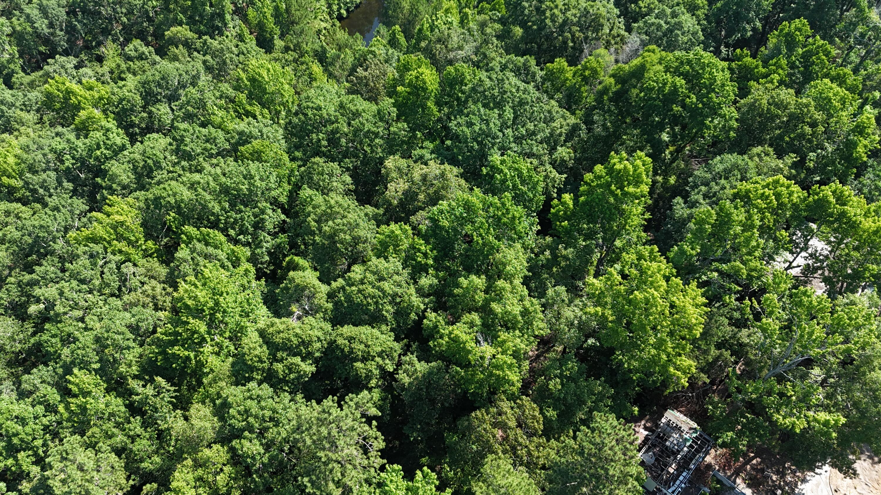 2039 Mcdade Farm Road, Hephzibah, GA, 30815