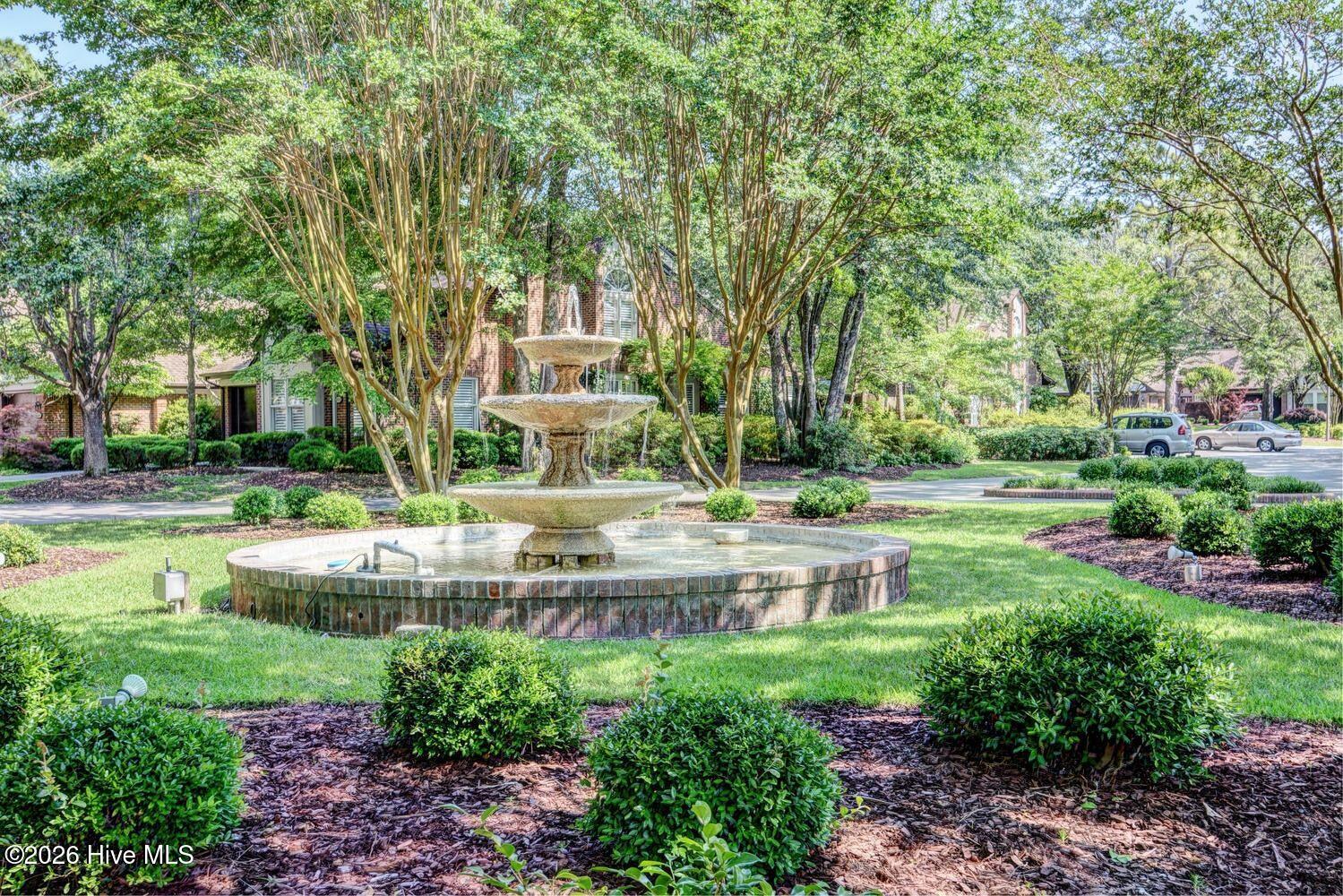 100569020 | Photo 32