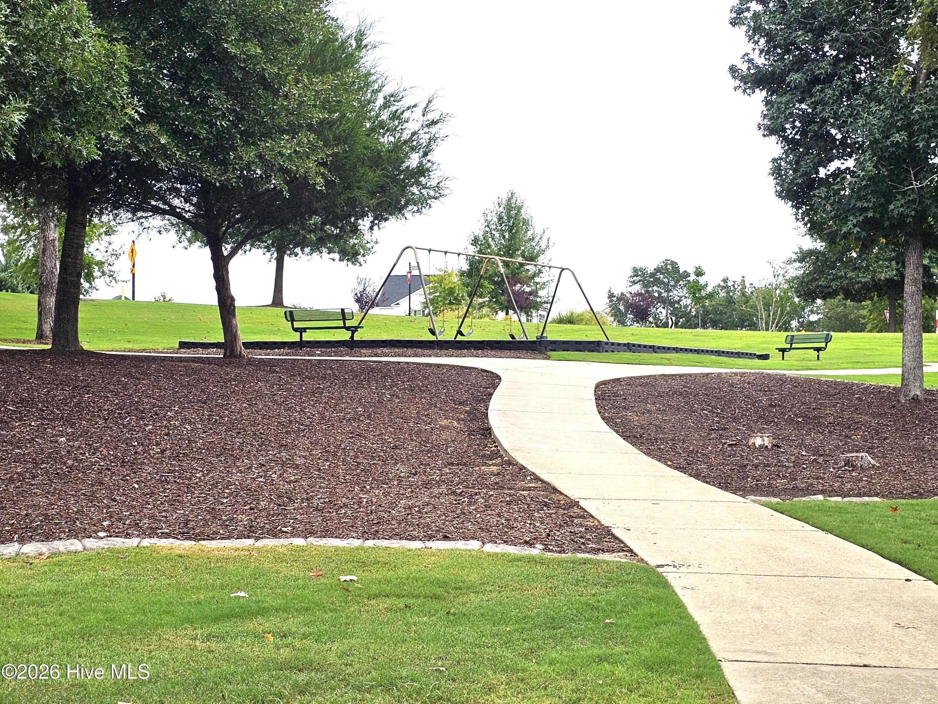Play Area