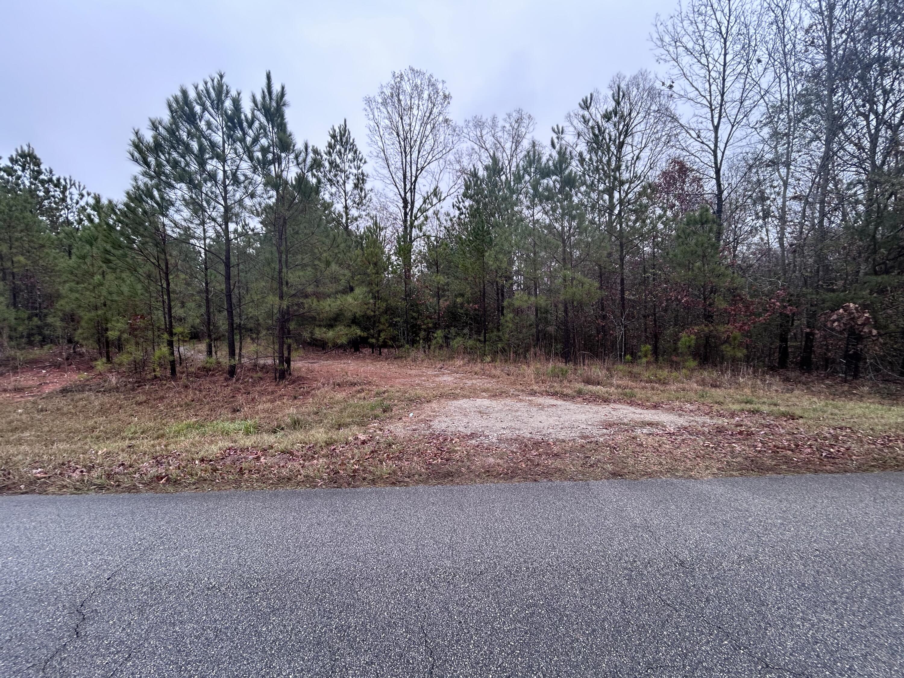 1956 Pineywoods Road, Lincolnton, GA, 30817