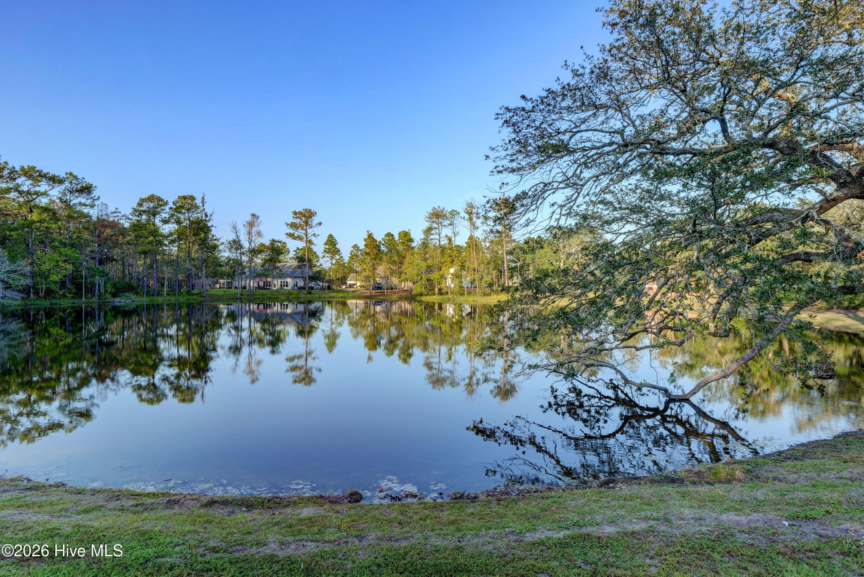 100551987 | Photo 59