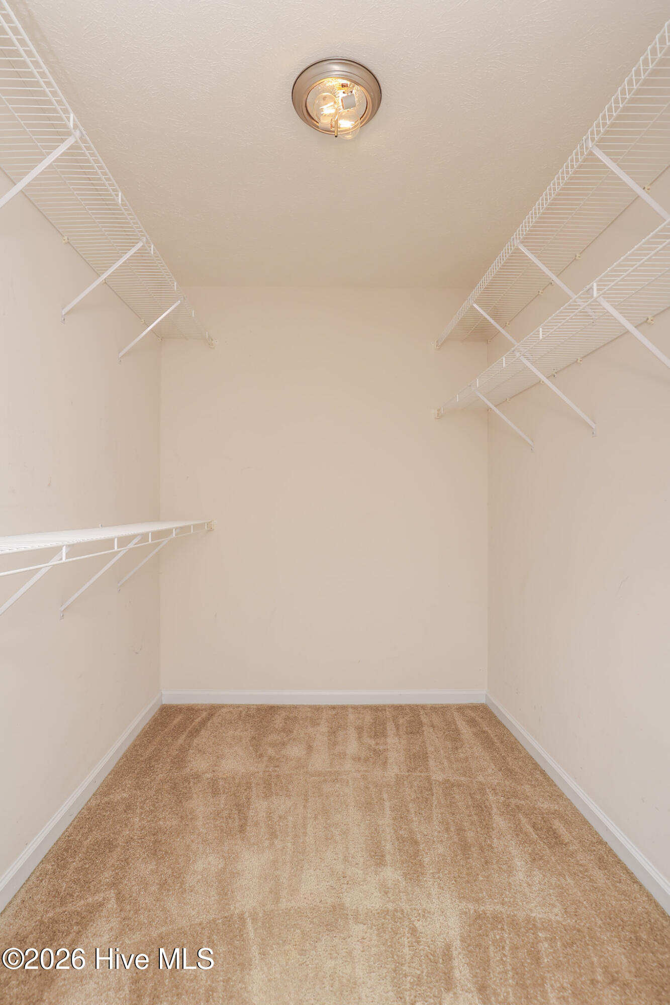 100523026 | Photo 27