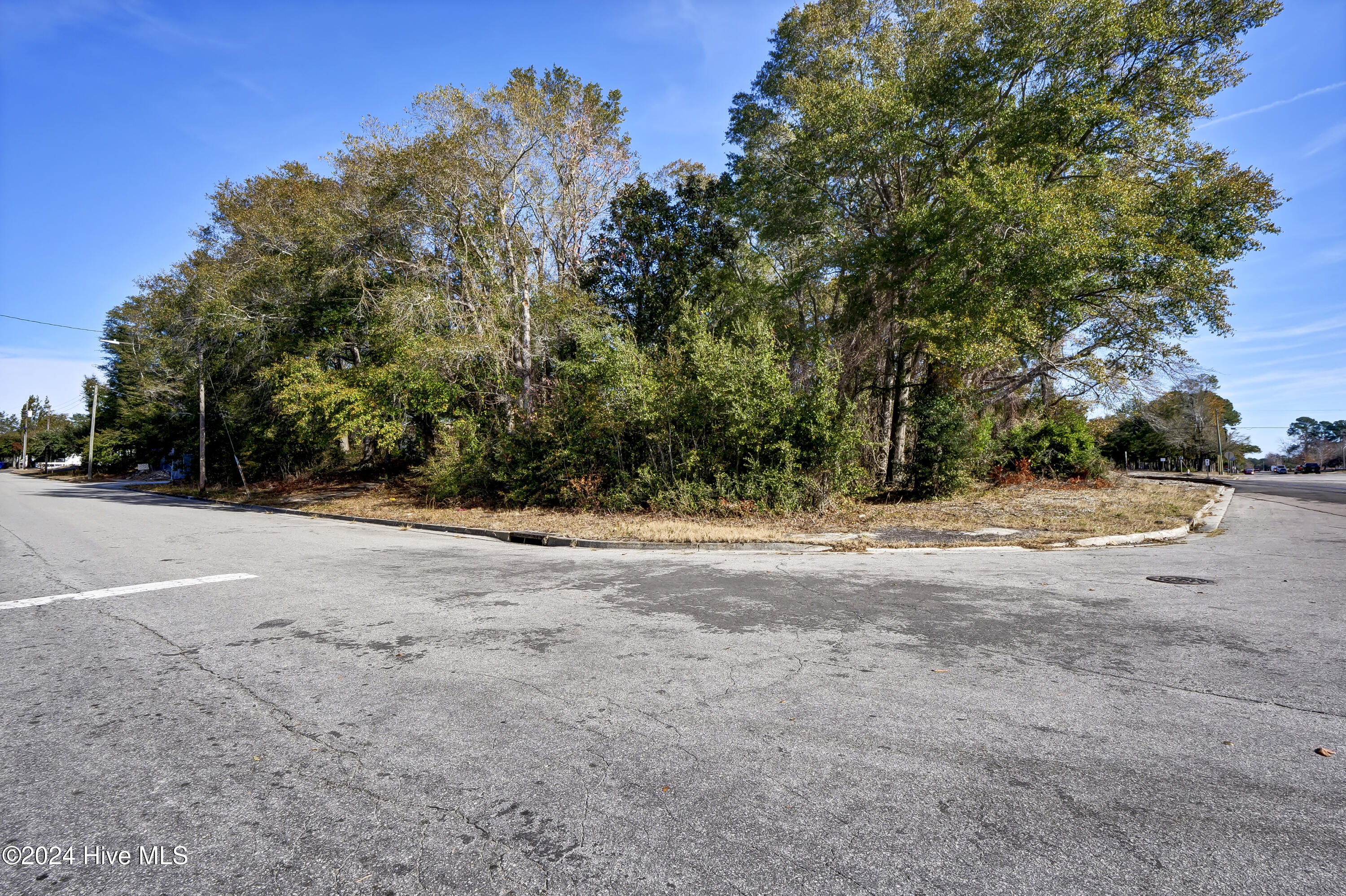 100480246 | Photo 24