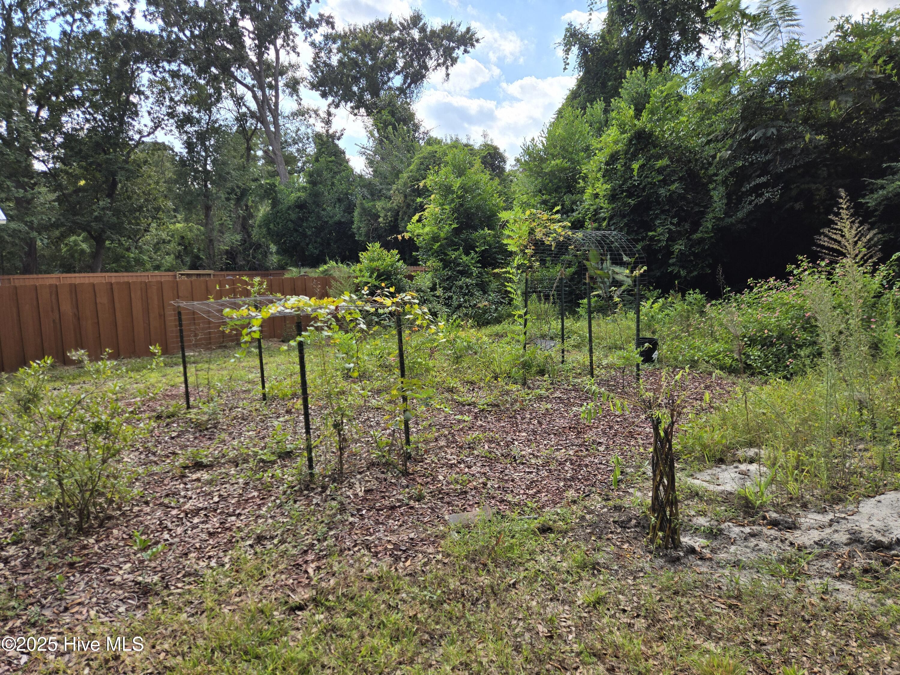 100531418 | Photo 41