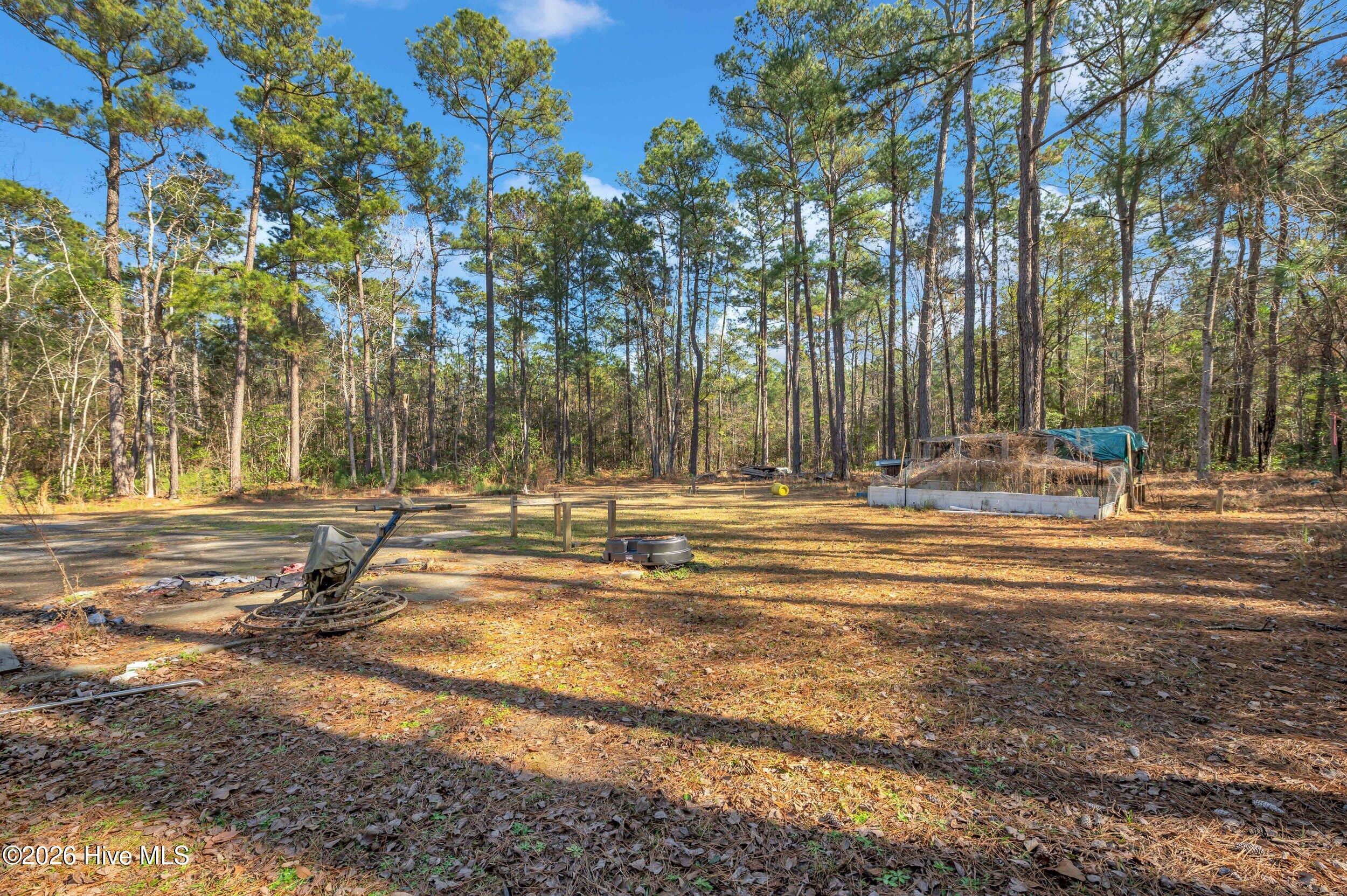 100551501 | Photo 16