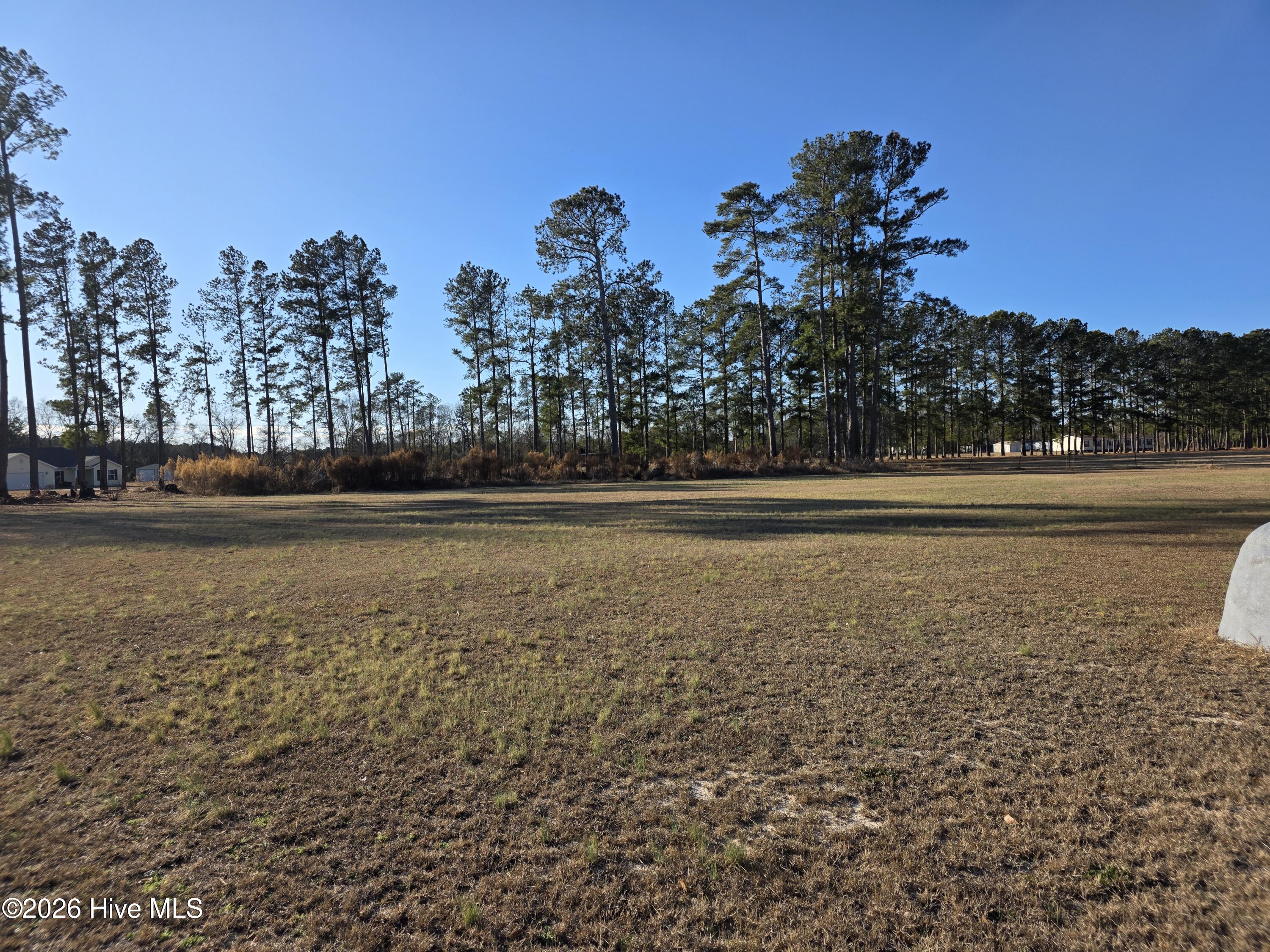 Homes for sale in Orrum, NC | 183 Ladybell Dr, Orrum, NC 28369 | MLS# 100556007