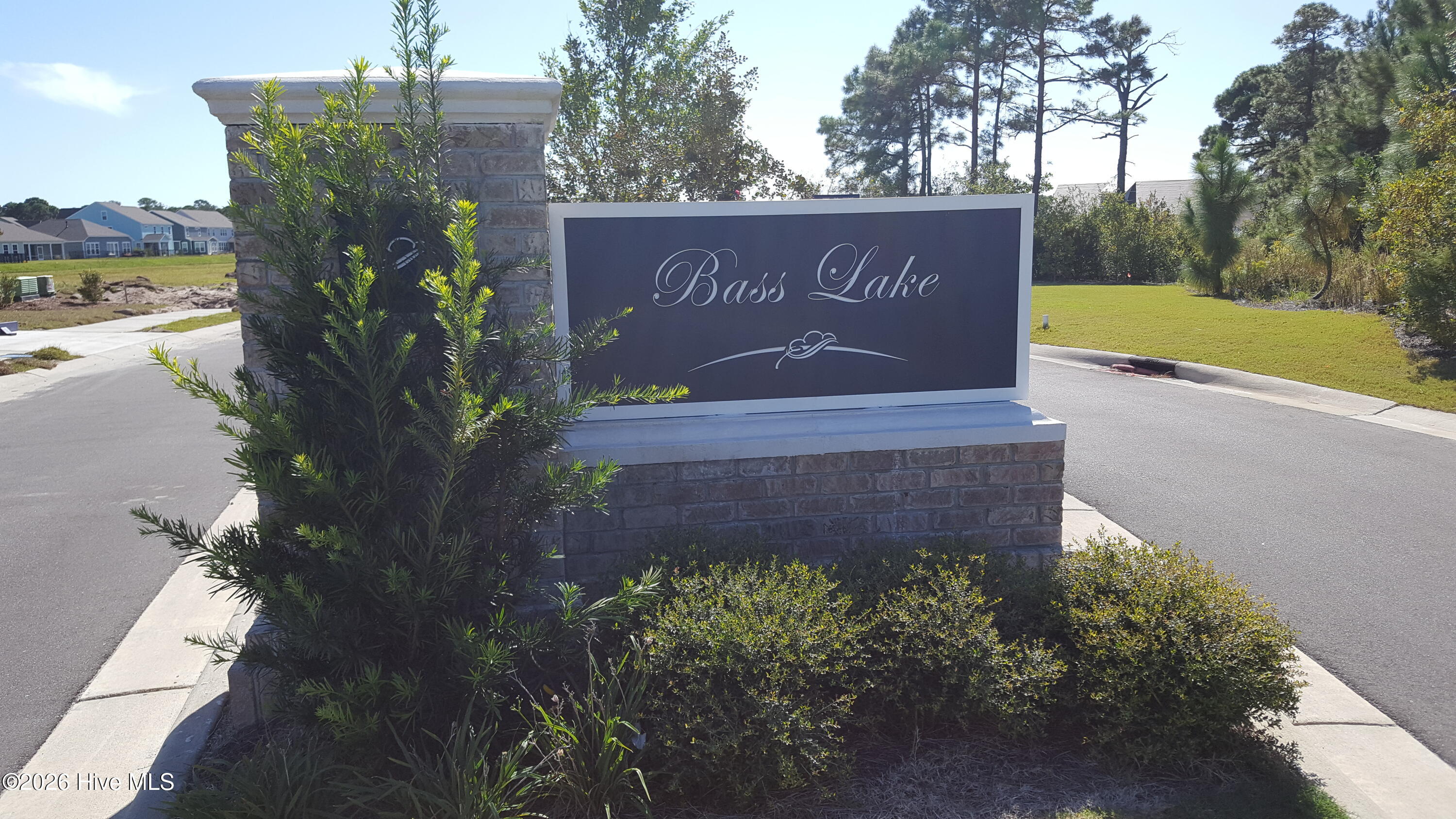 100554574 | Photo 30