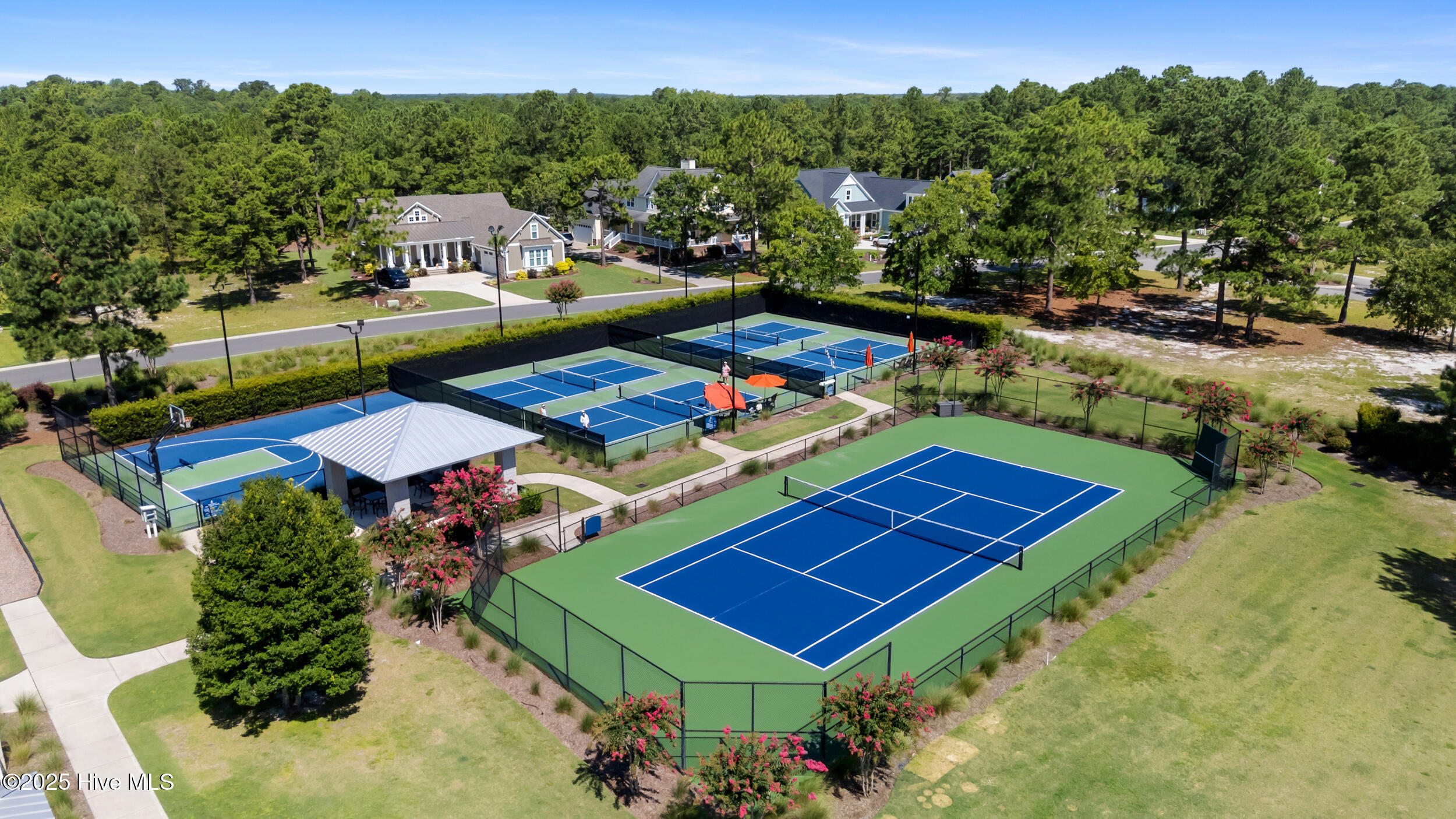 100520337 | Photo 62