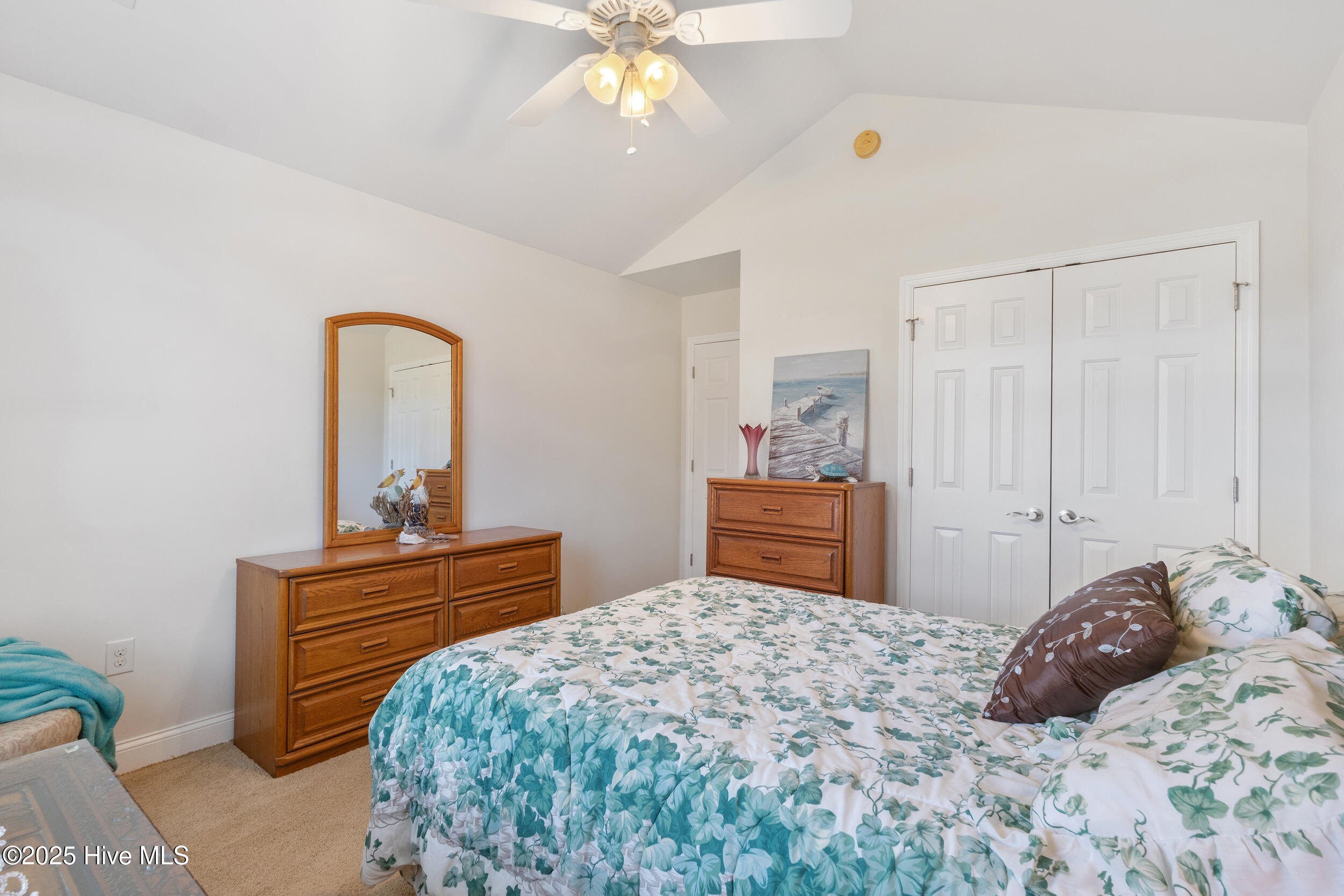 100541465 | Photo 28