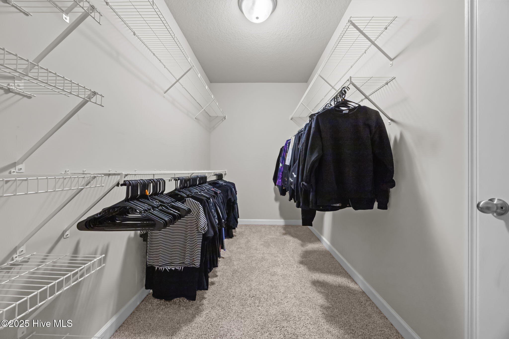 100532531 | Photo 13