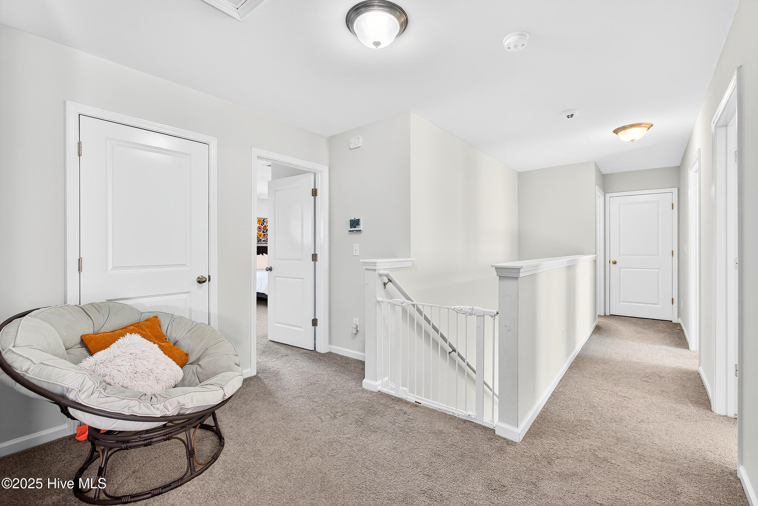 100539677 | Photo 25