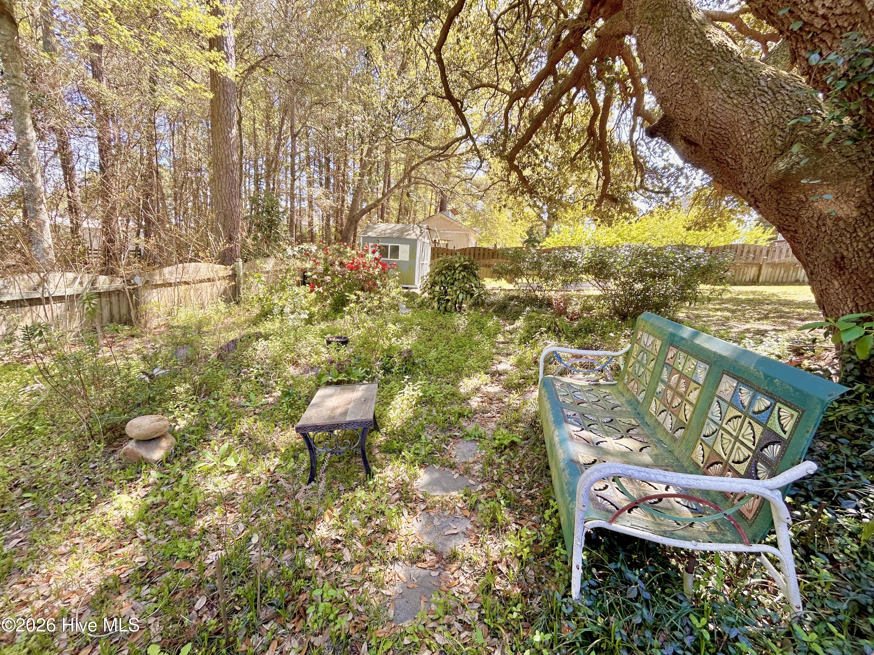 100564341 | Photo 47