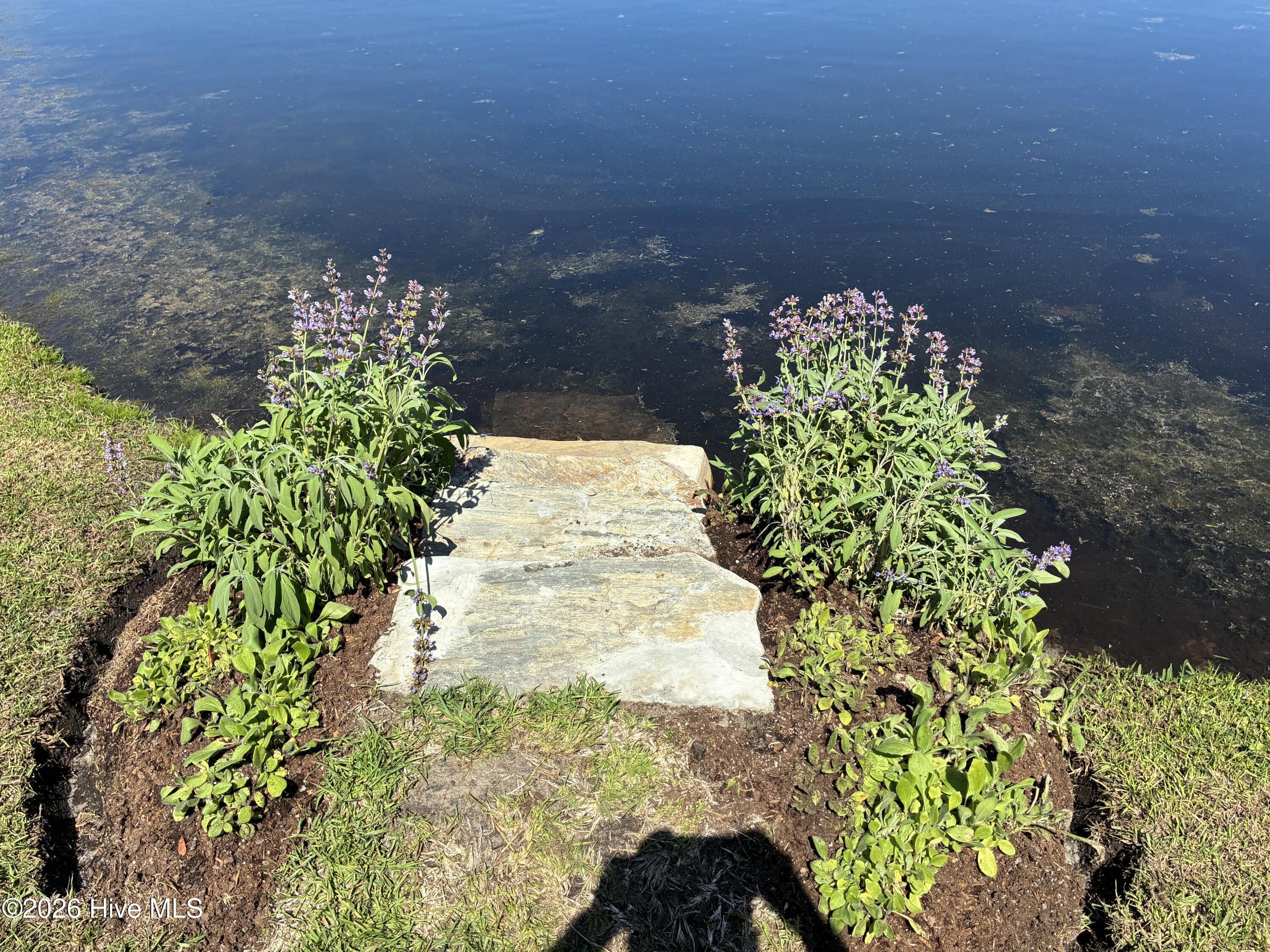 100560288 | Photo 118