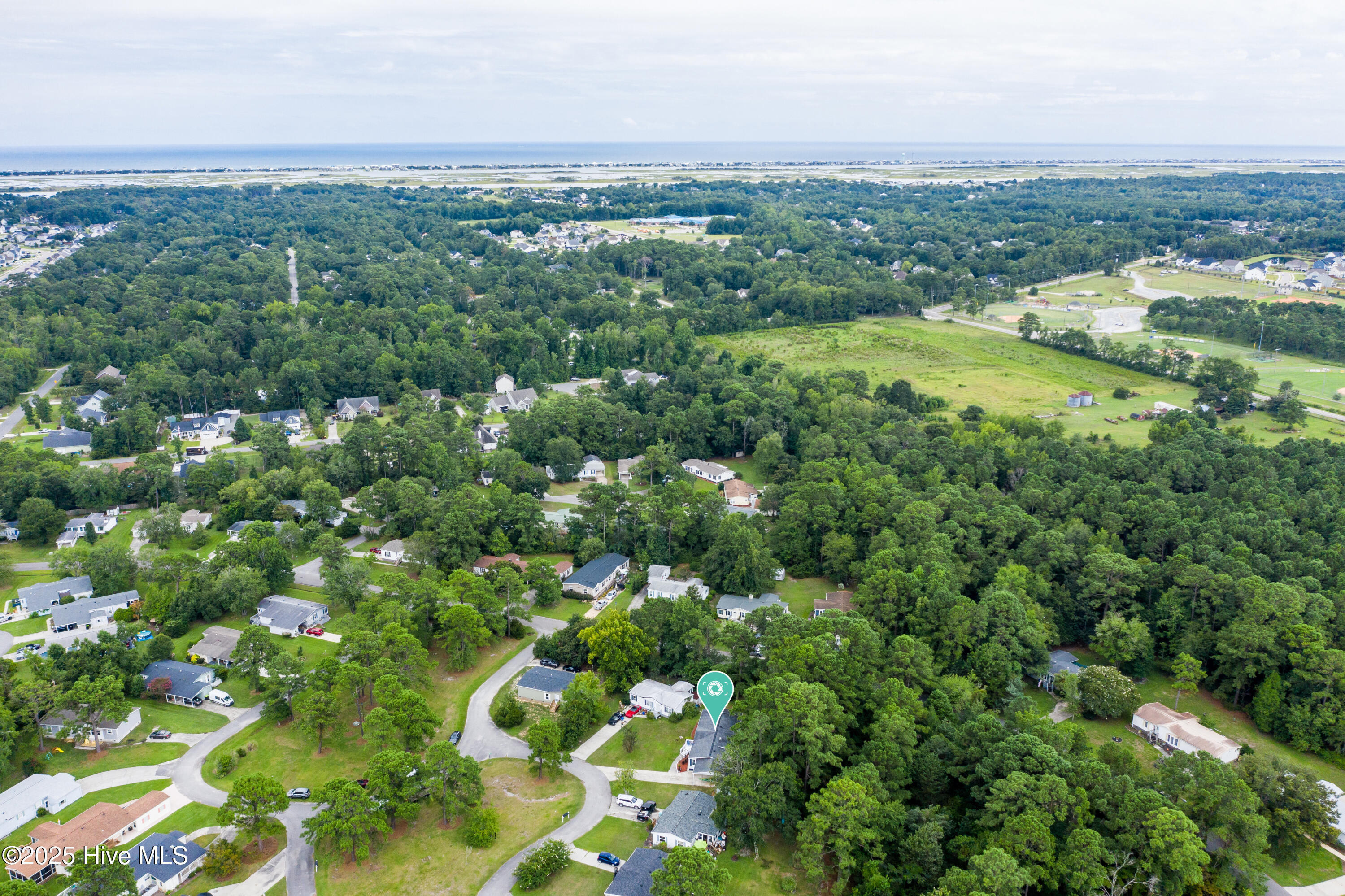 100523647 | Photo 30