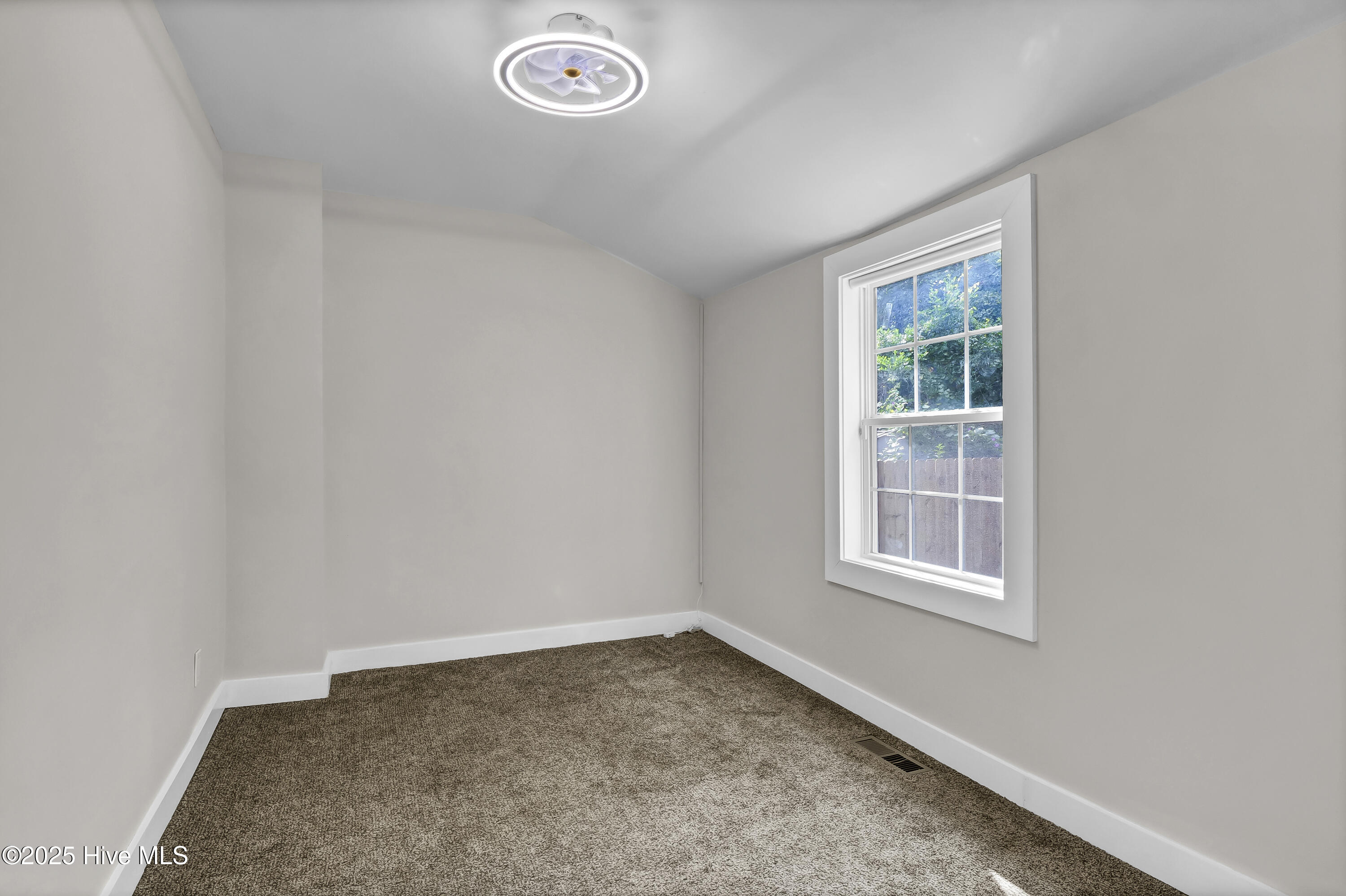 100556721 | Photo 16