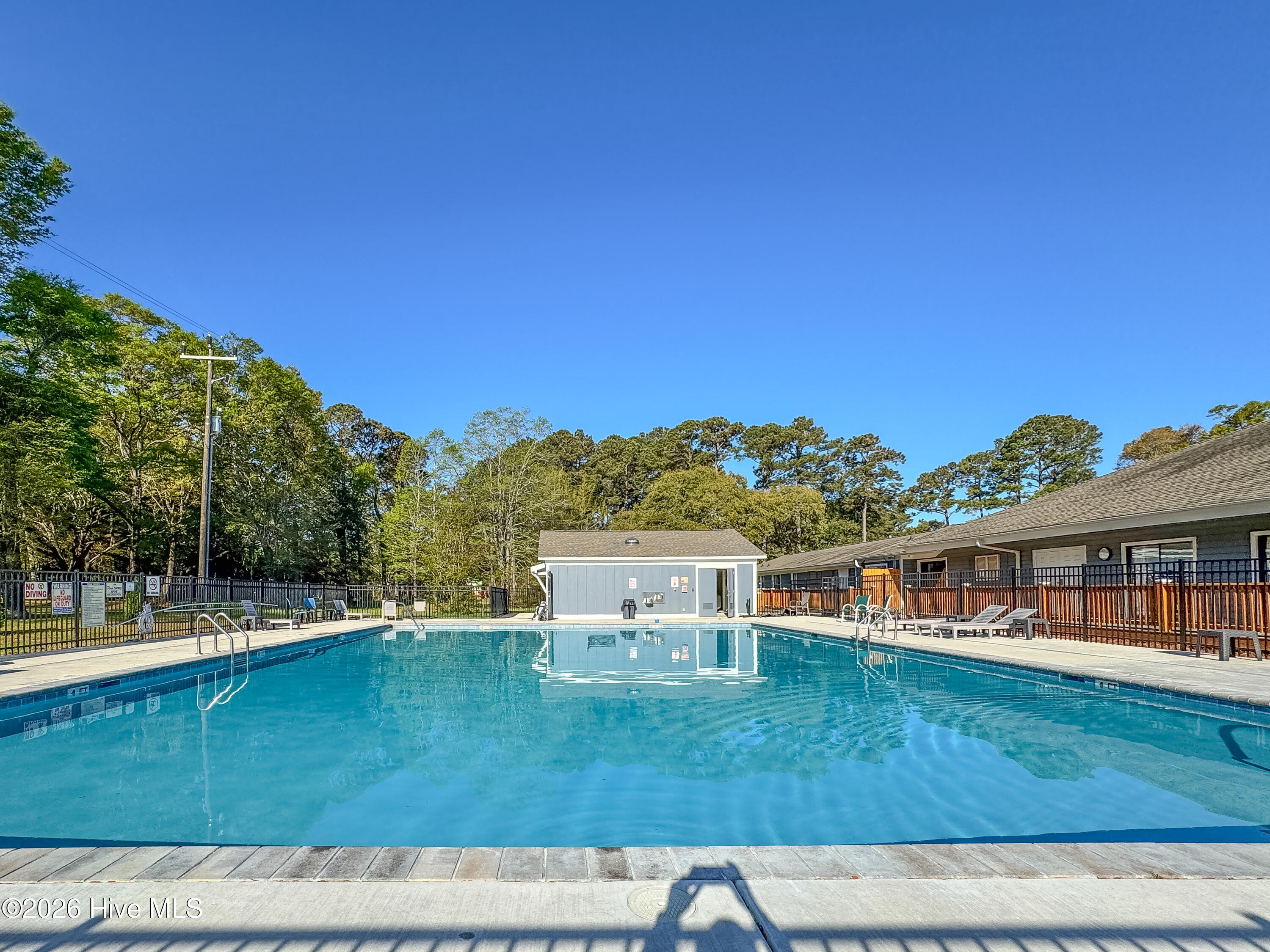 100565099 | Photo 33