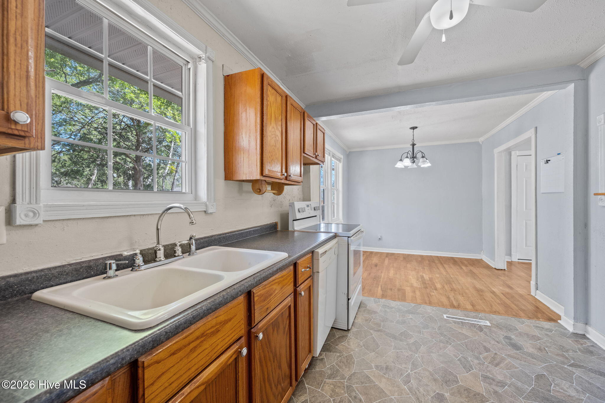 100562753 | Photo 15