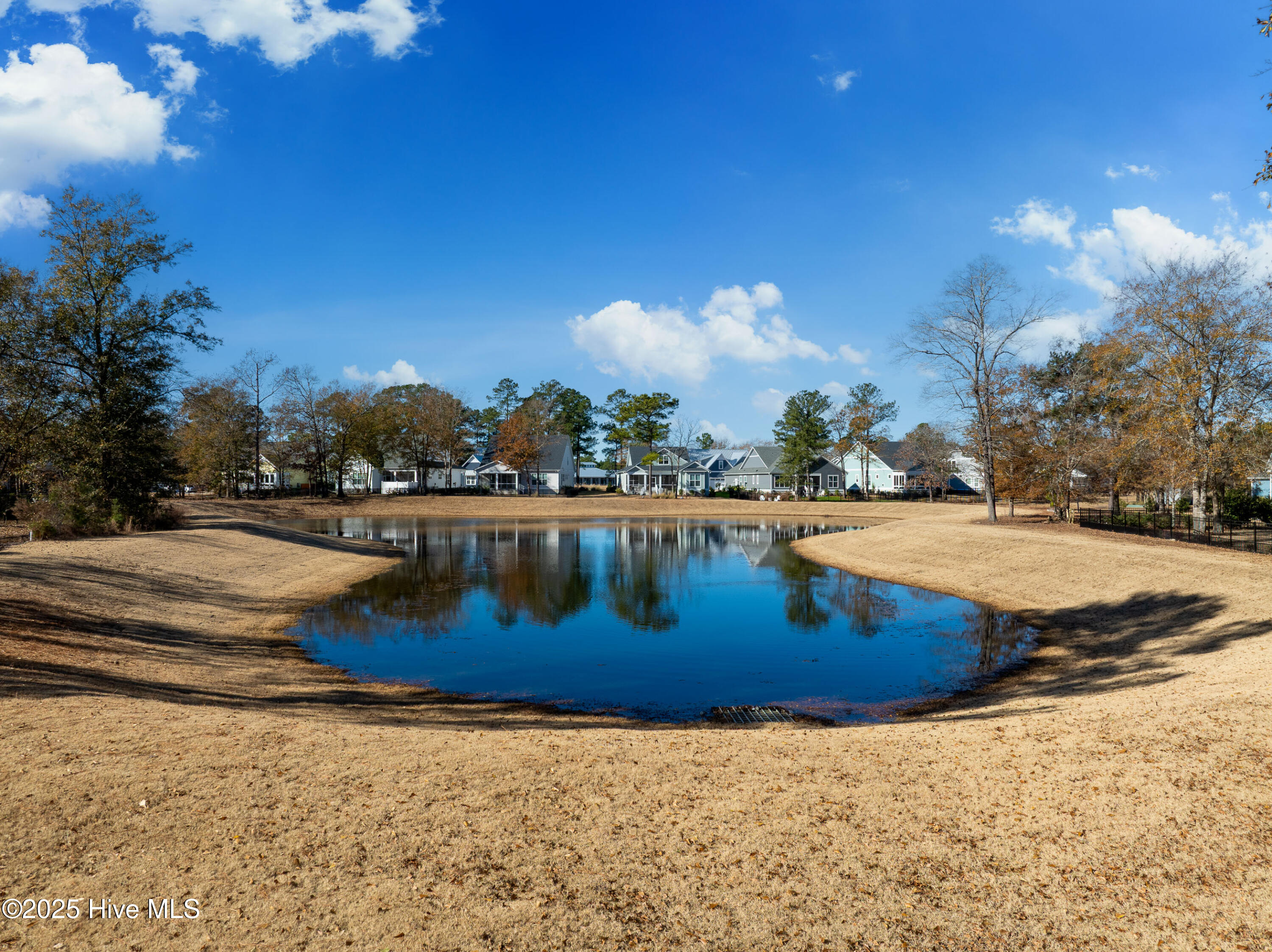 100545902 | Photo 24