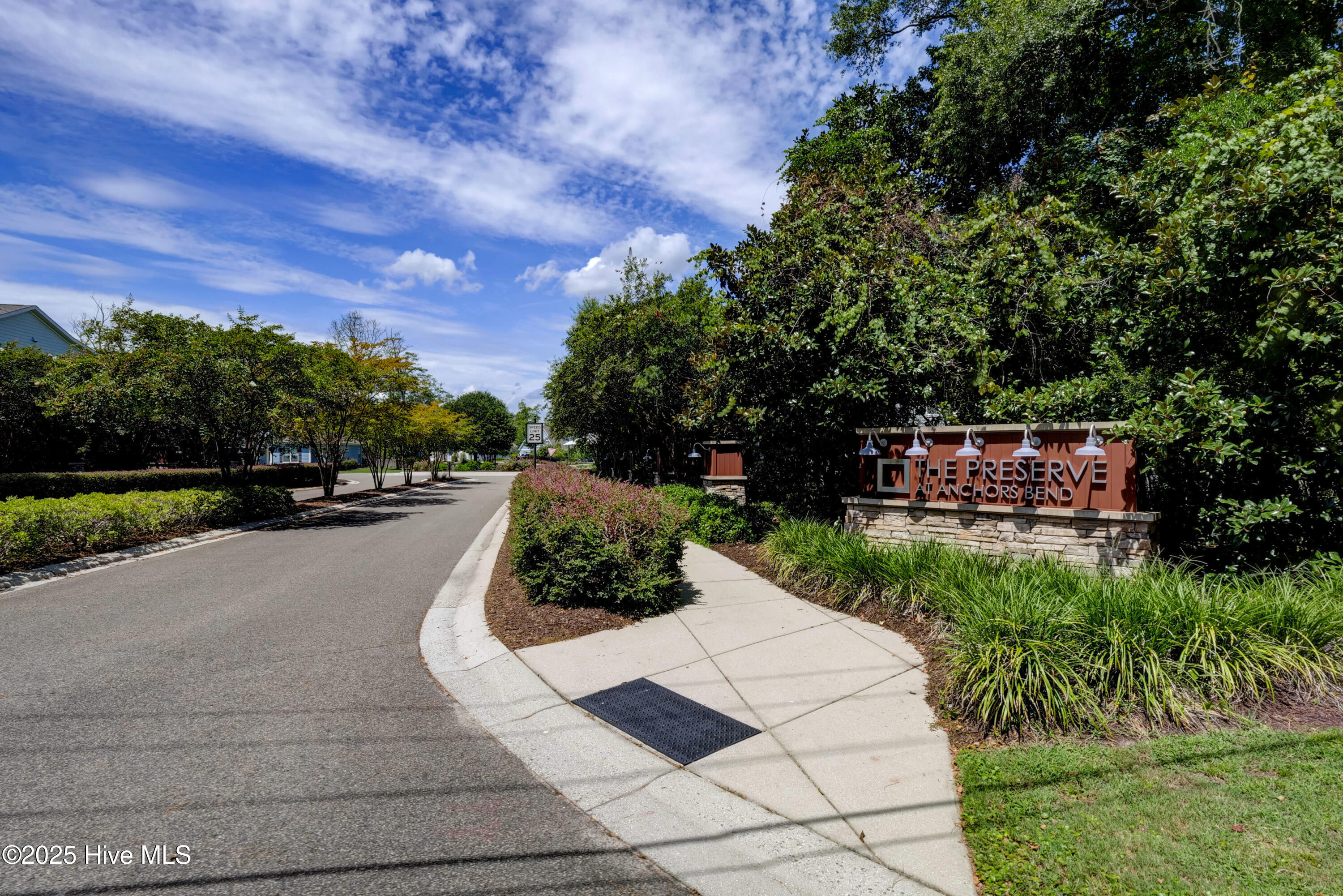 100538990 | Photo 29