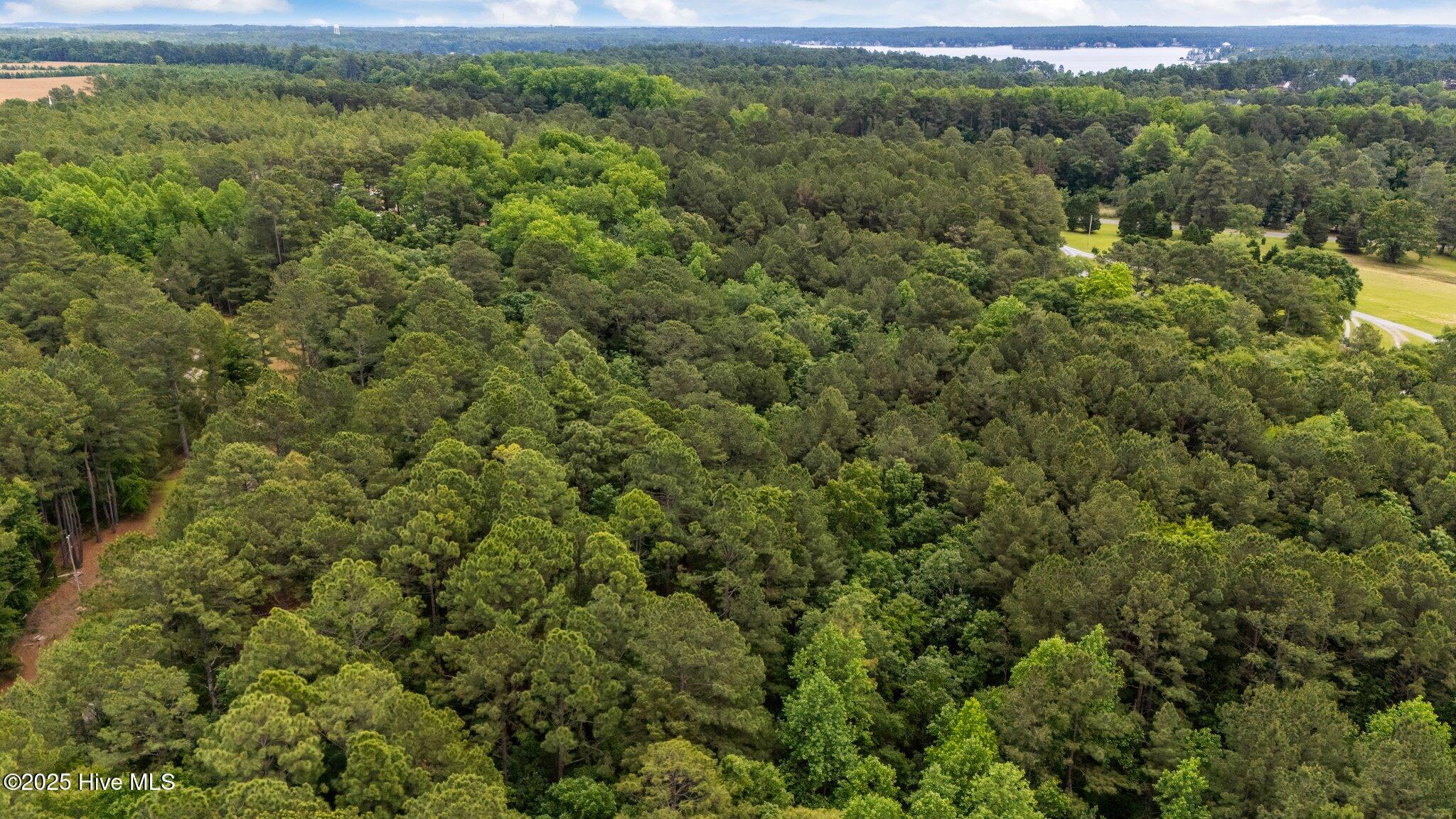 6-web-or-mls-DJI_20250520132005_0907_D