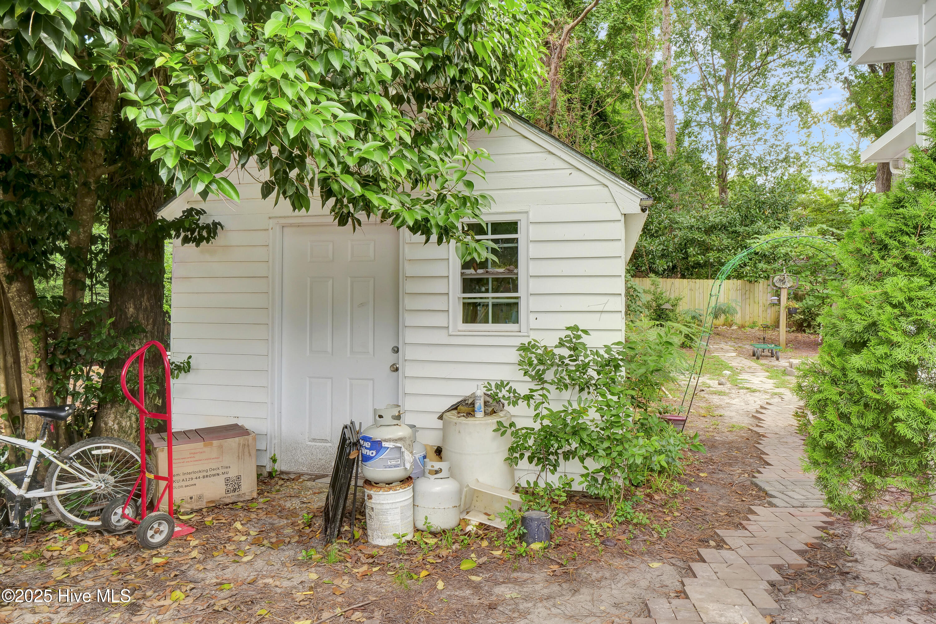 100528167 | Photo 45