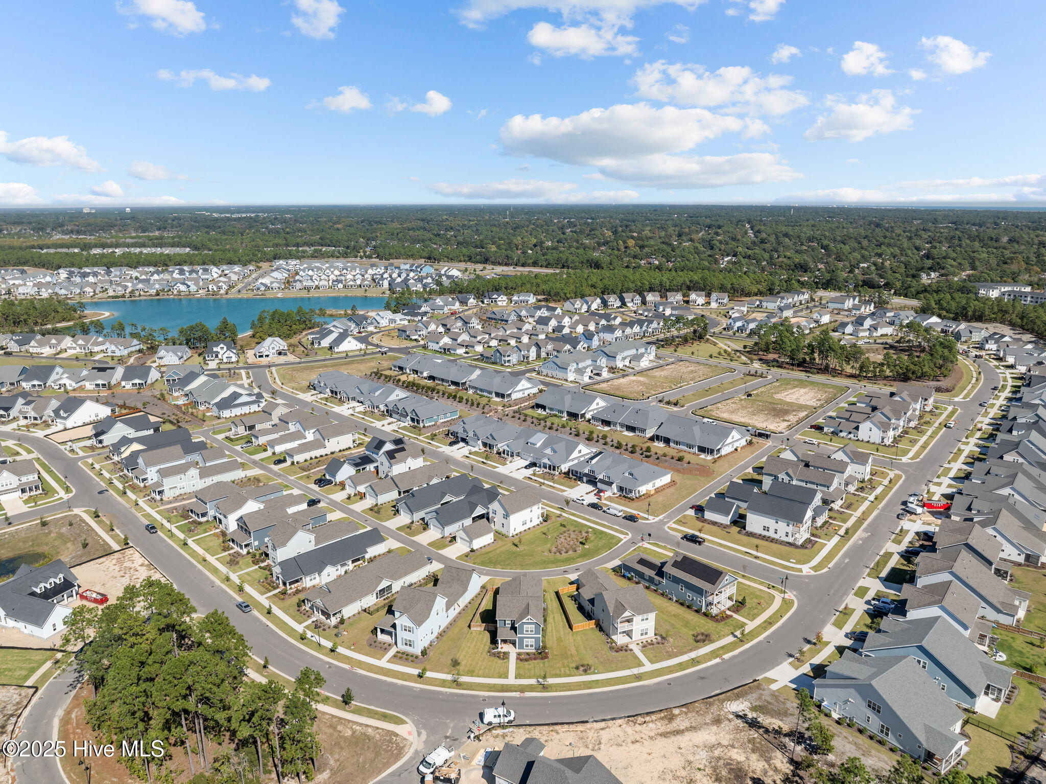 100554205 | Photo 55