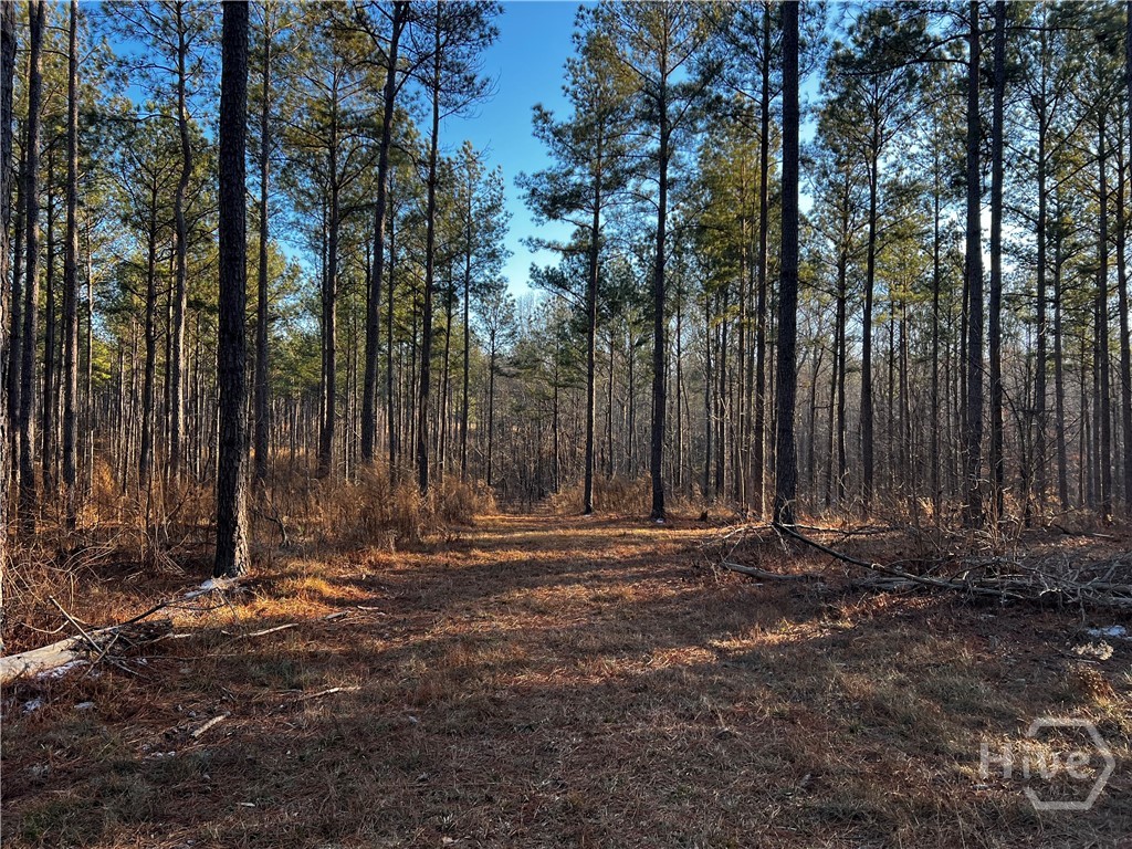 2285 Cherokee Road, Comer, GA, 30629