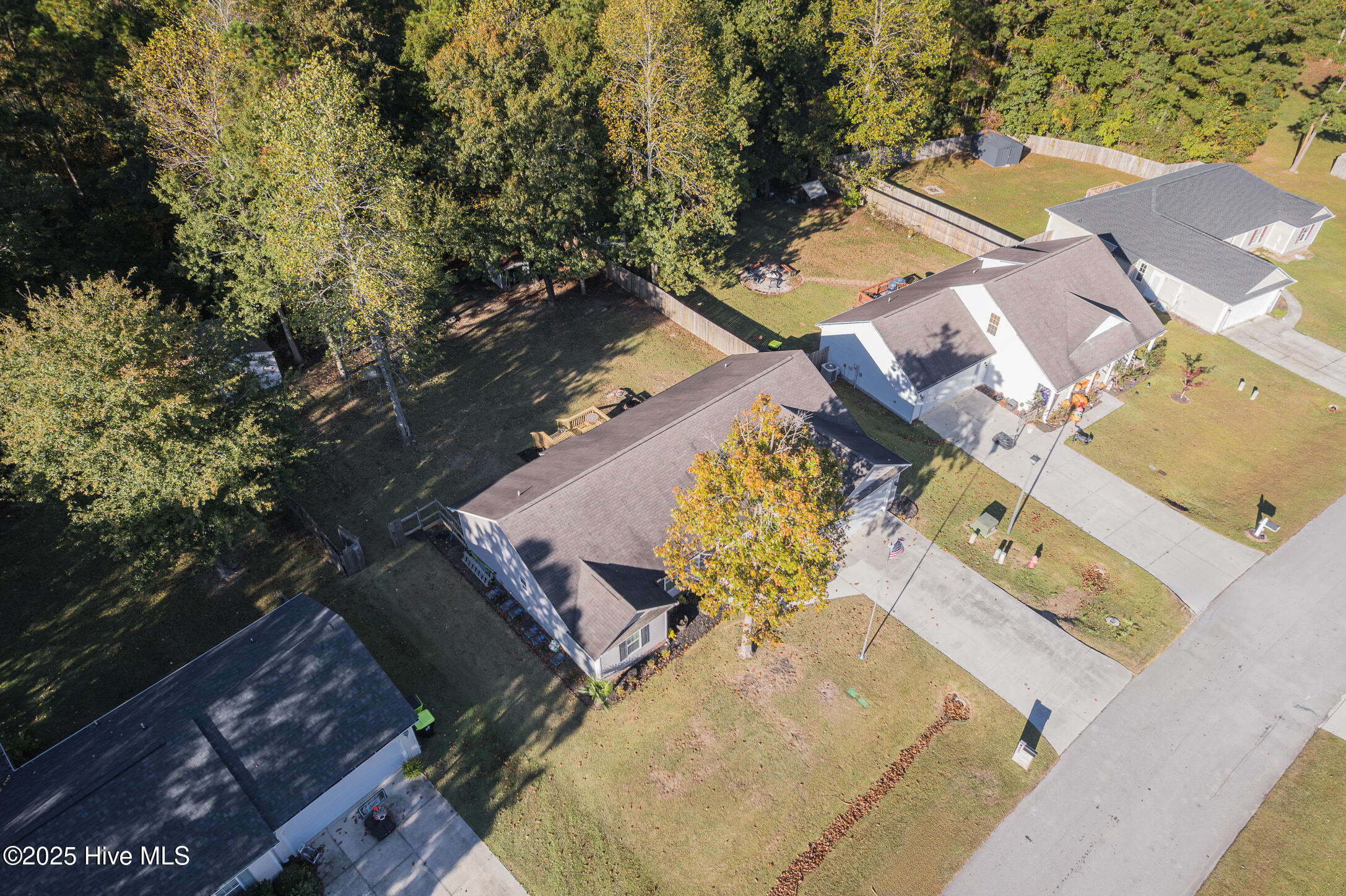 100538539 | Photo 43