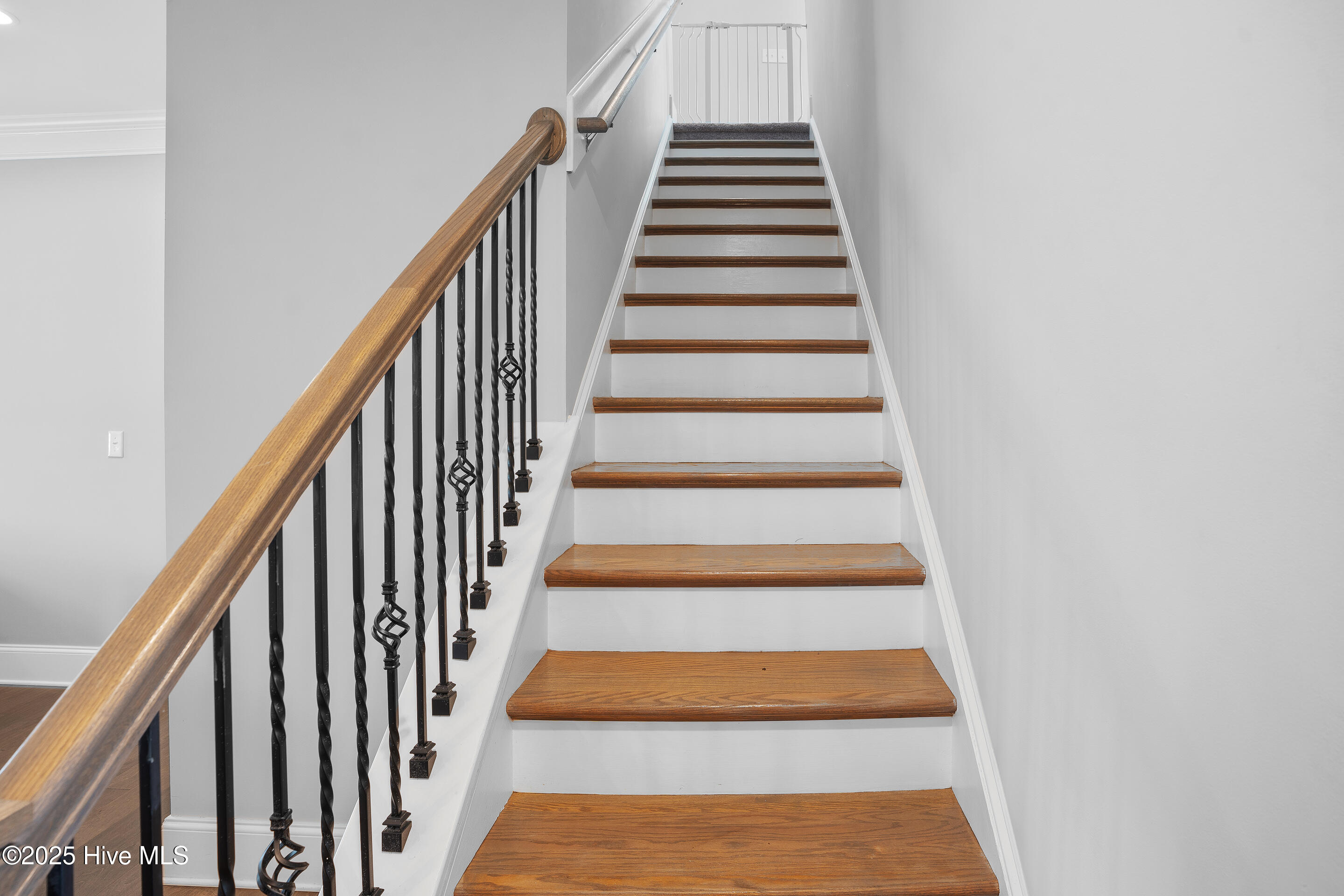 100520061 | Photo 27