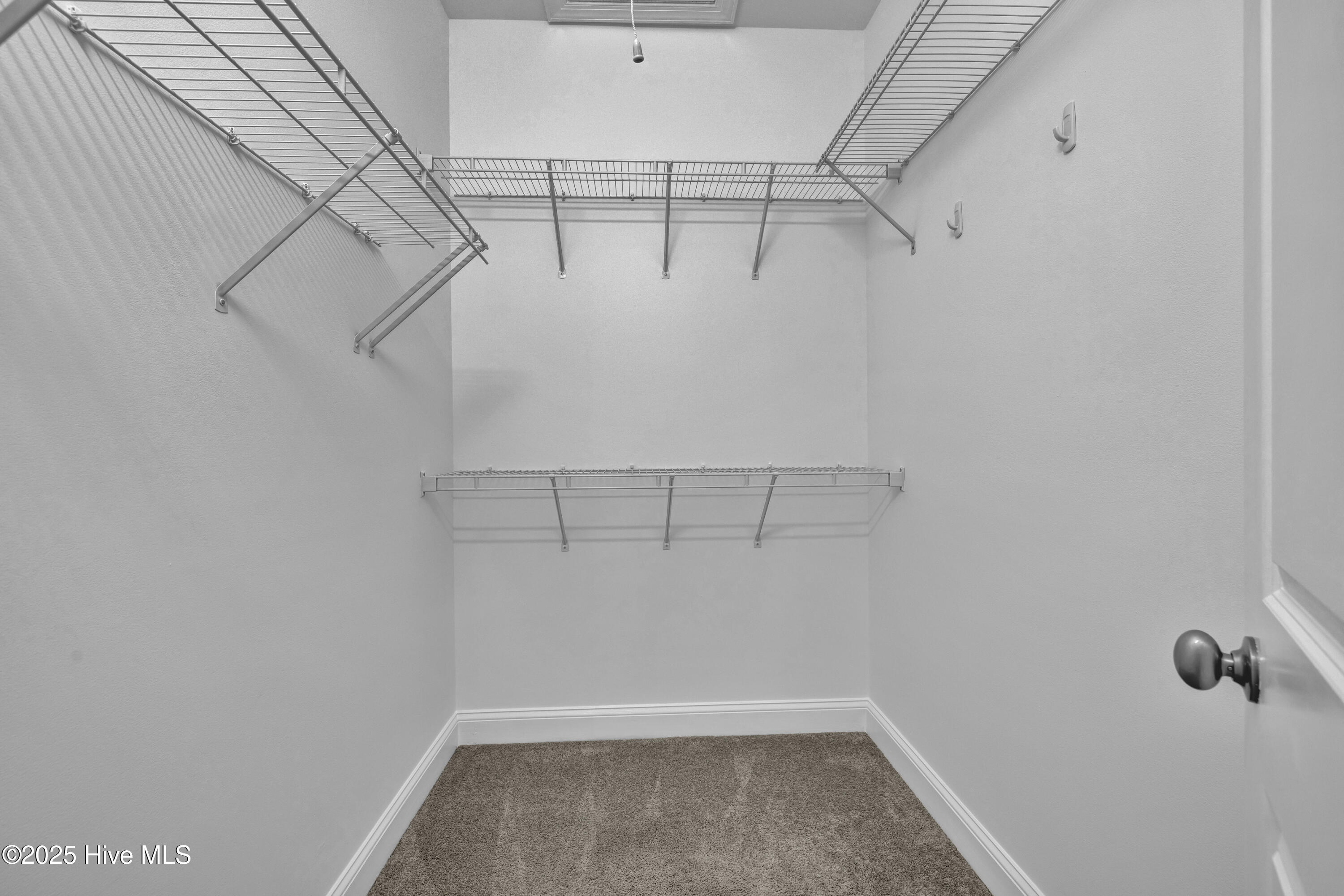 100545653 | Photo 15