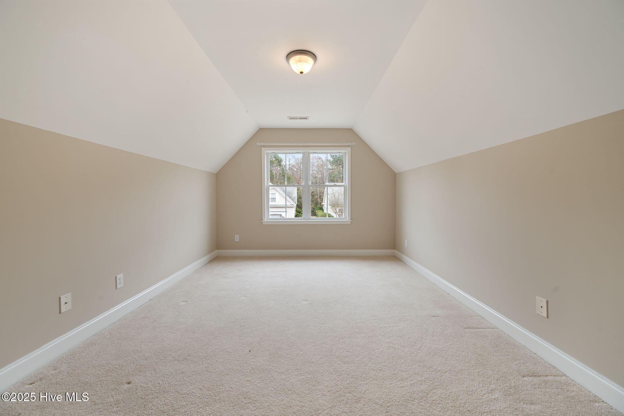 100525052 | Photo 28